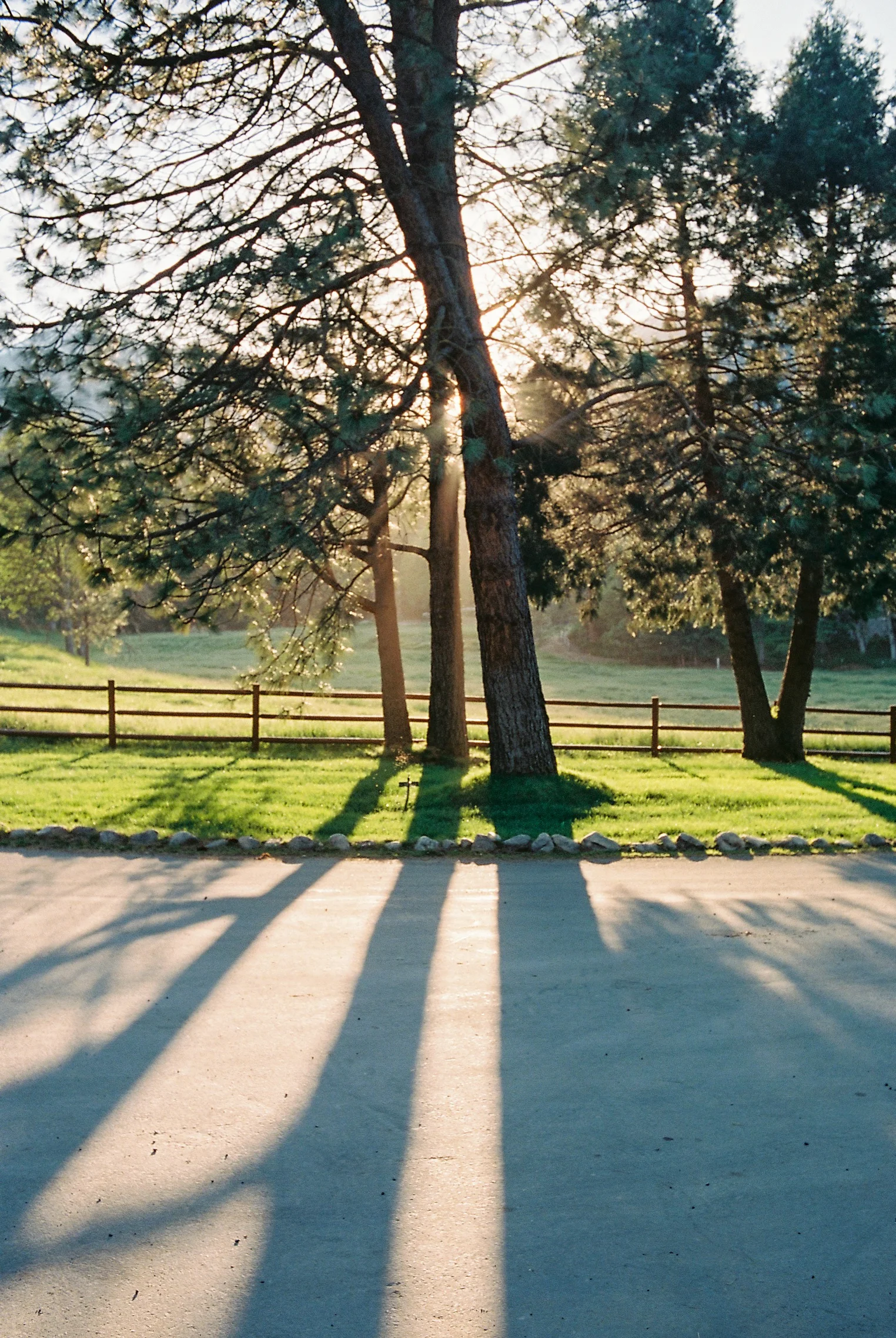 JH Ranch_Roll_2301-13.jpg