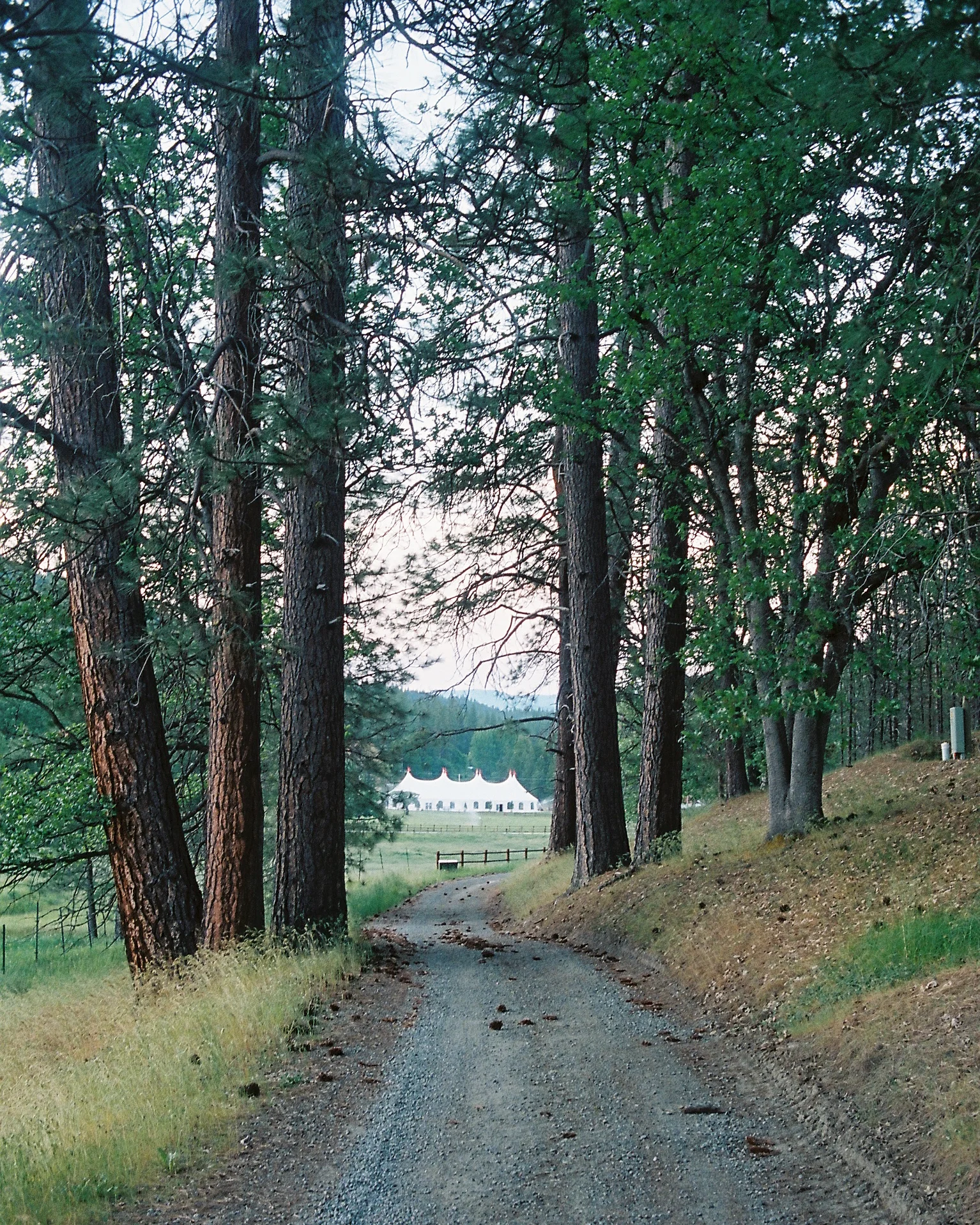 JH Ranch_Roll_2301-12.jpg