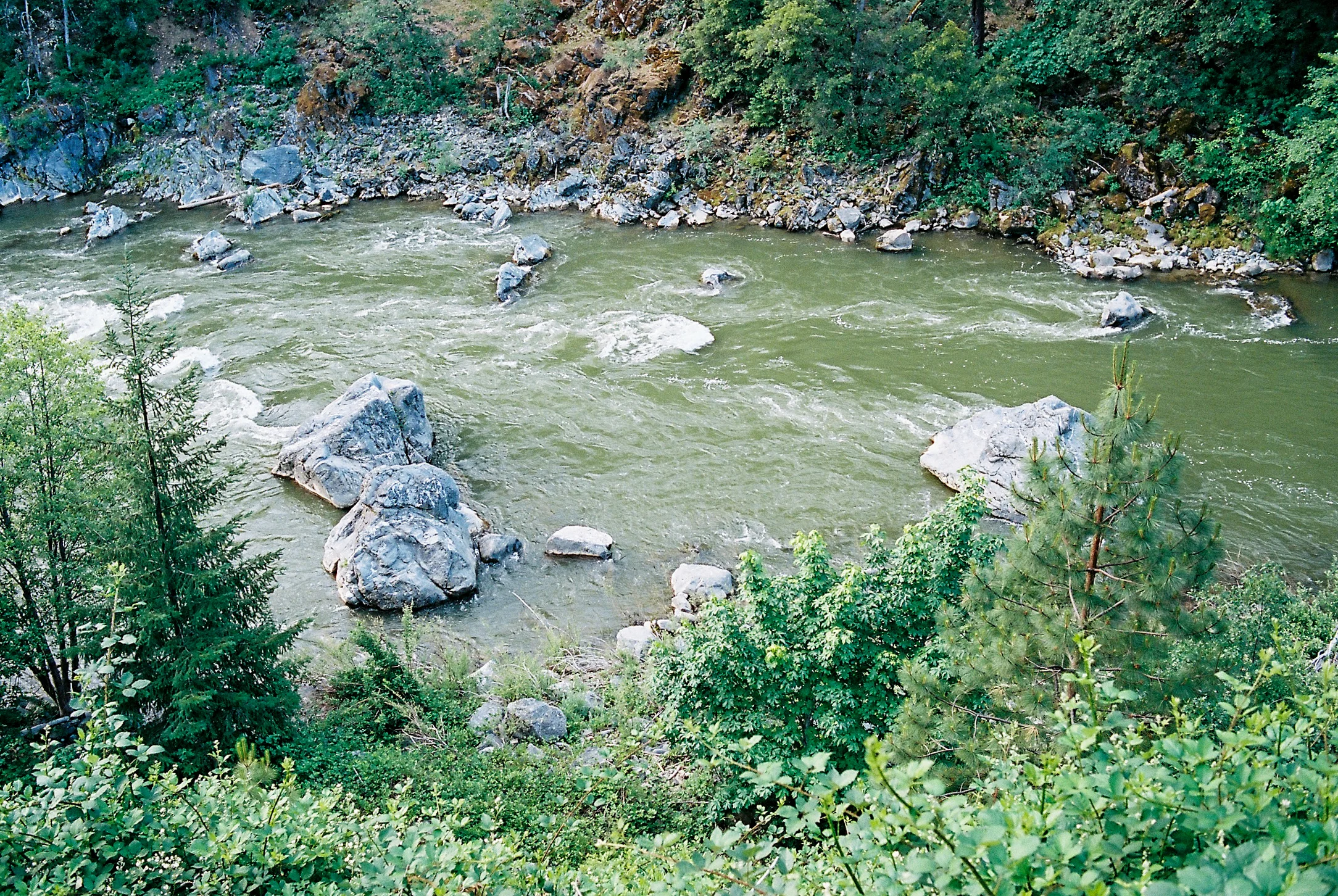 JH Ranch_Roll_2301-11.jpg