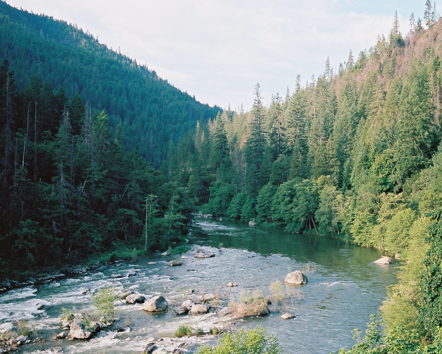 JH Ranch_Roll_2301-10.jpg