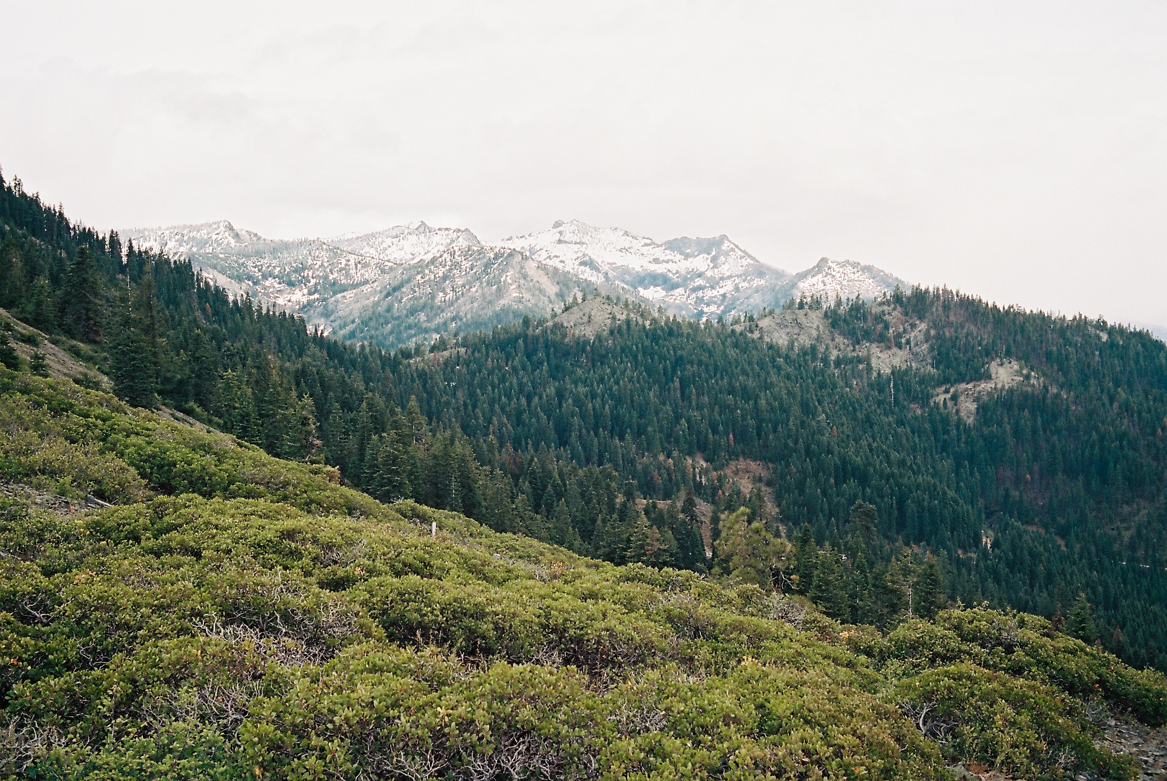 JH Ranch_Roll_2324-18.jpg