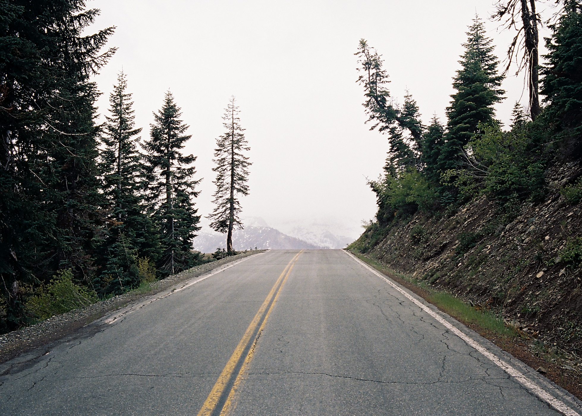 JH Ranch_Roll_2324-14.jpg