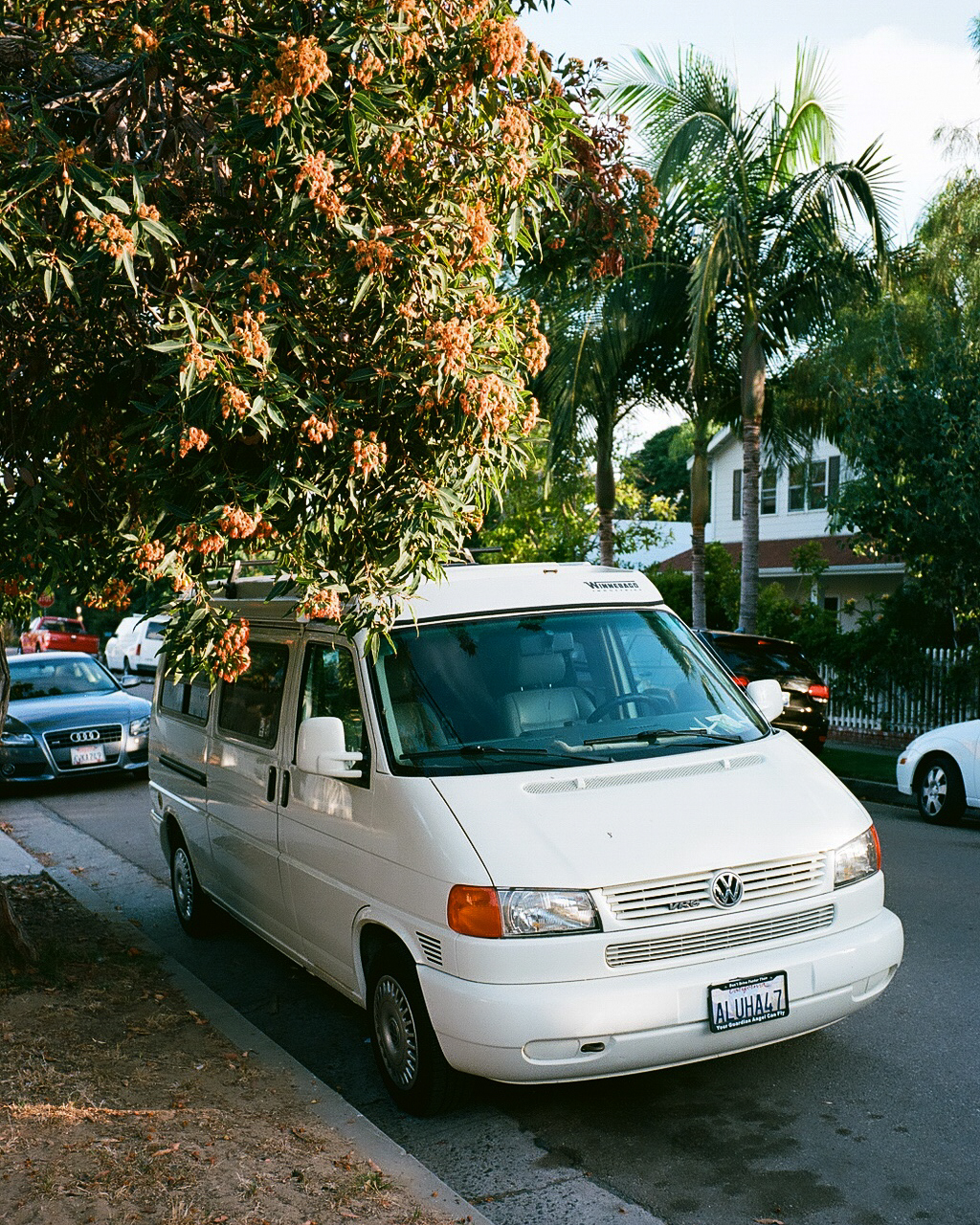 ektar 100_Roll#-14.jpg