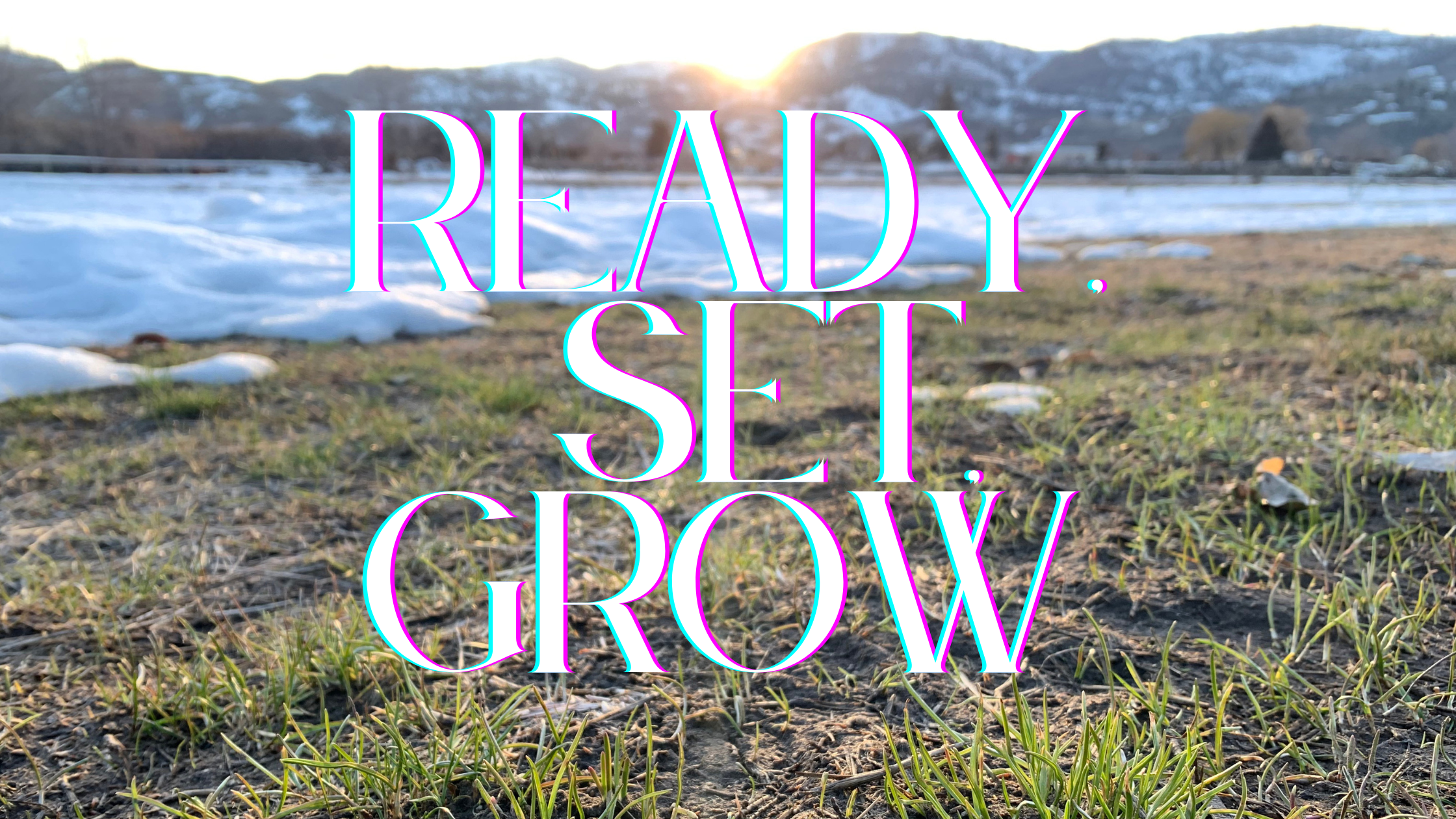 Ready, Set, Grow
