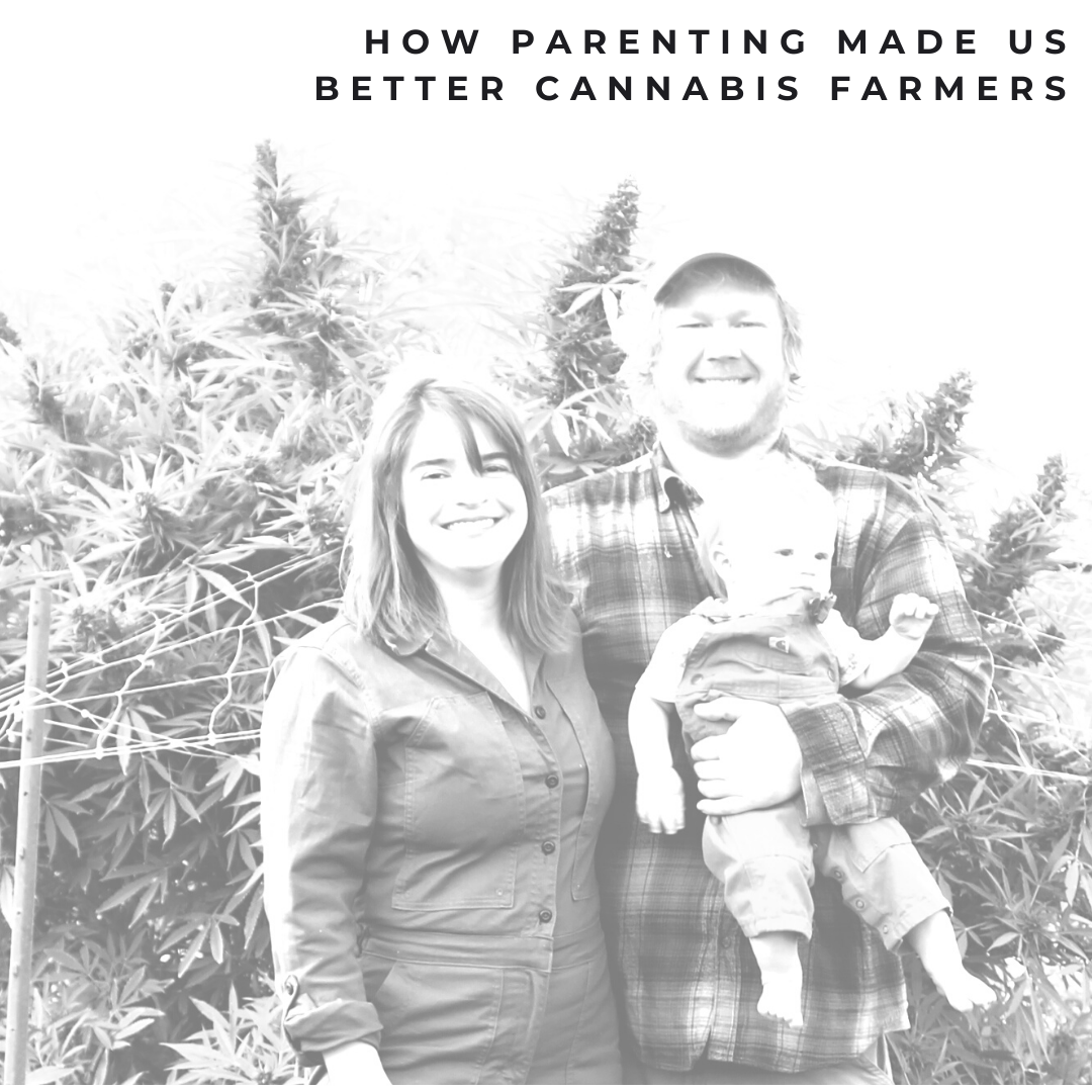 How Parenting Made Us Better Cannabis Farmers