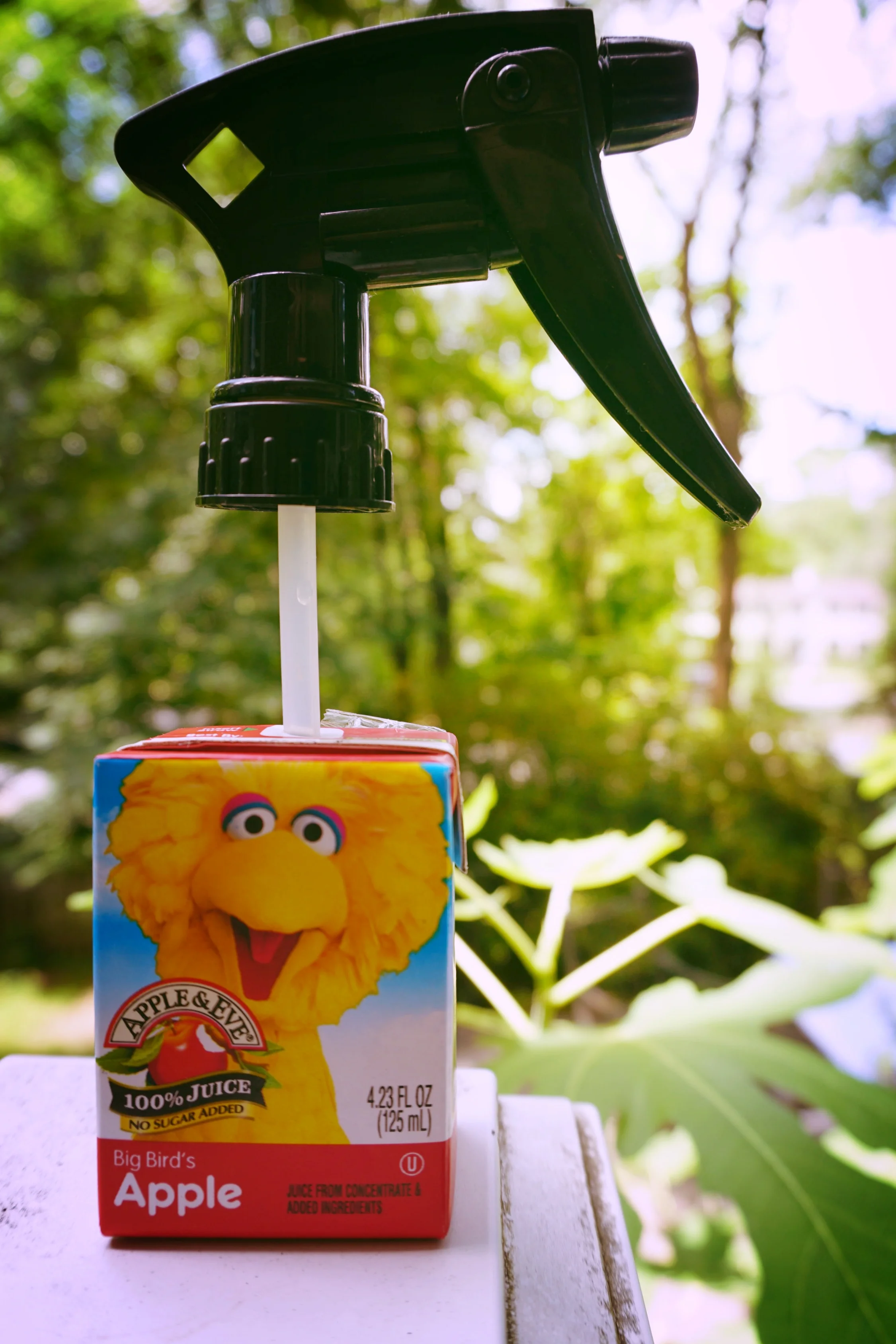 Smoker Hack... Apple Juice Edition