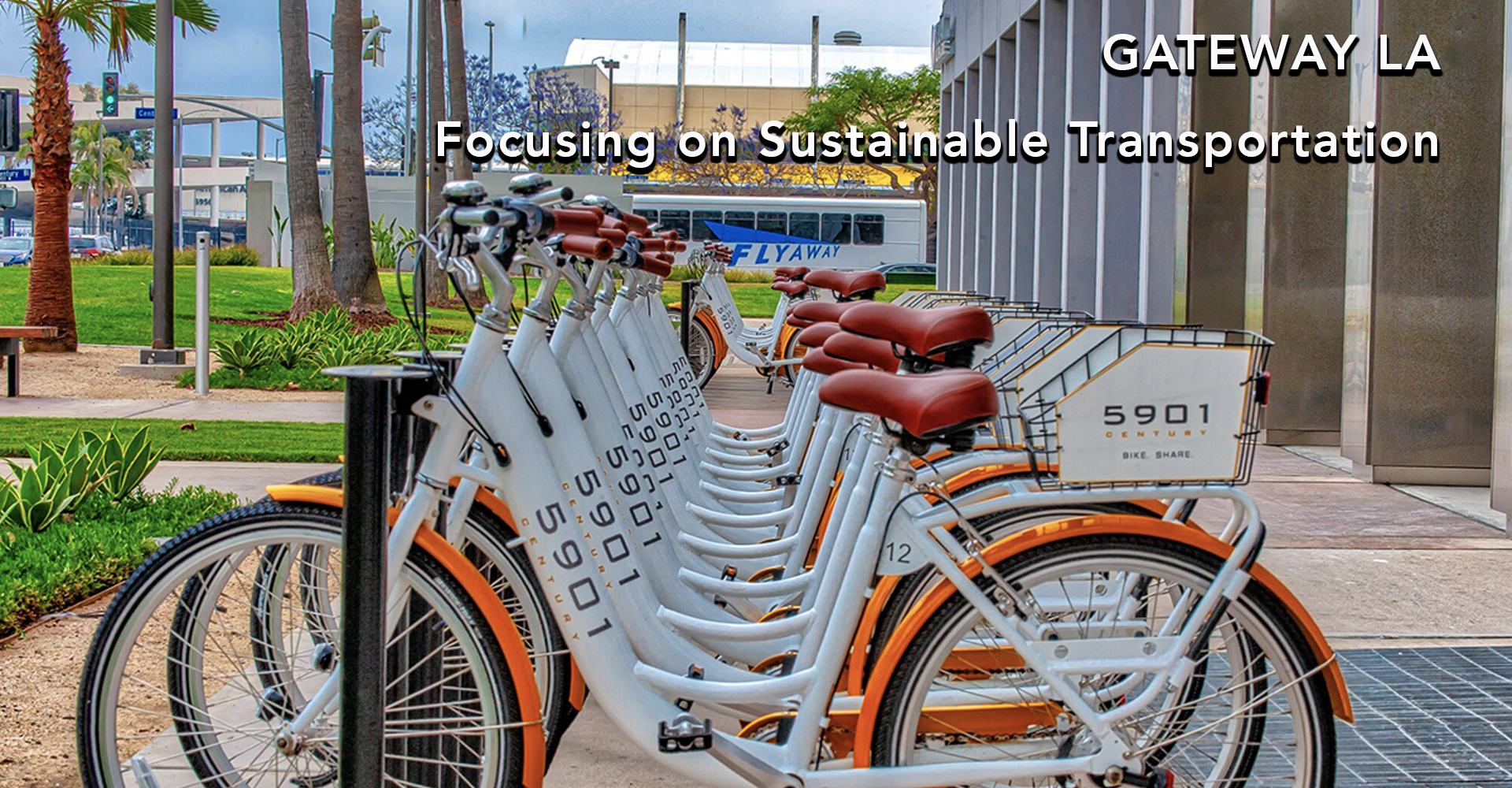 Focusing on Sustainable Transportation.jpg