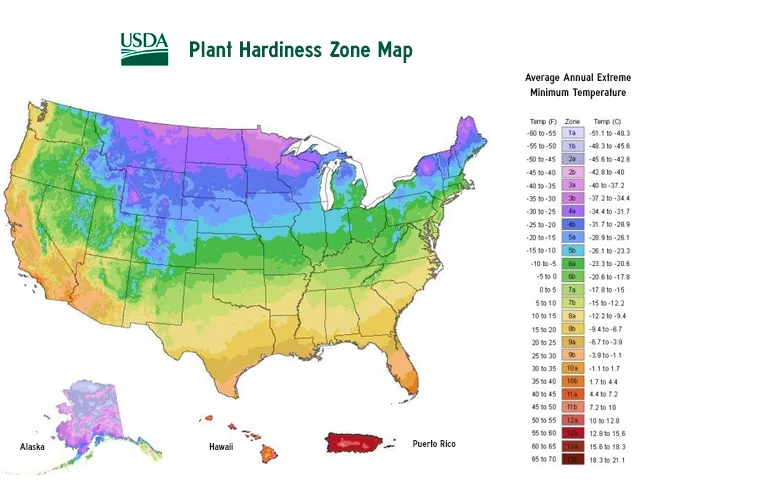 hardiness map.jpg