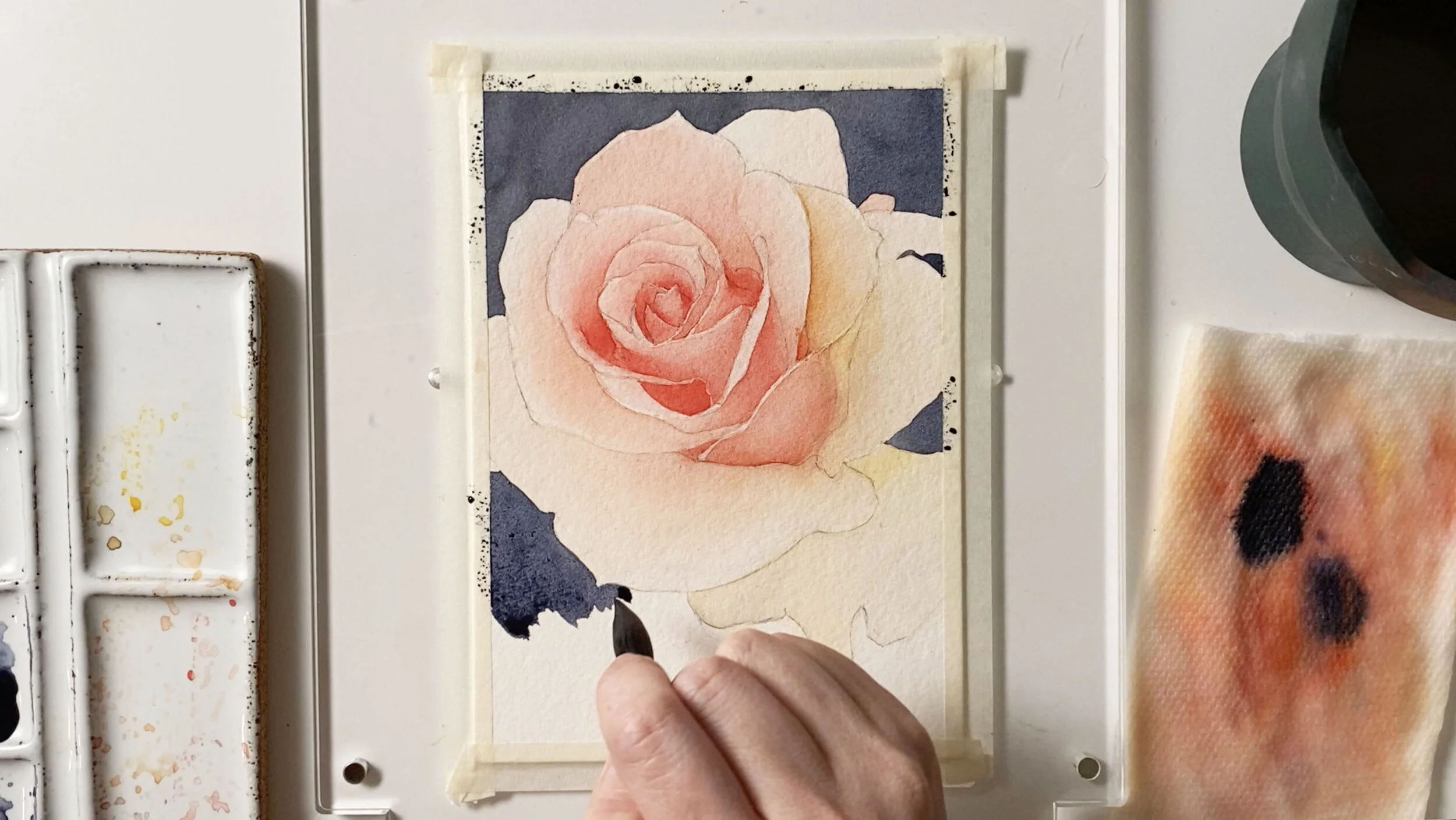 firstbloom_0009_background copy.jpg