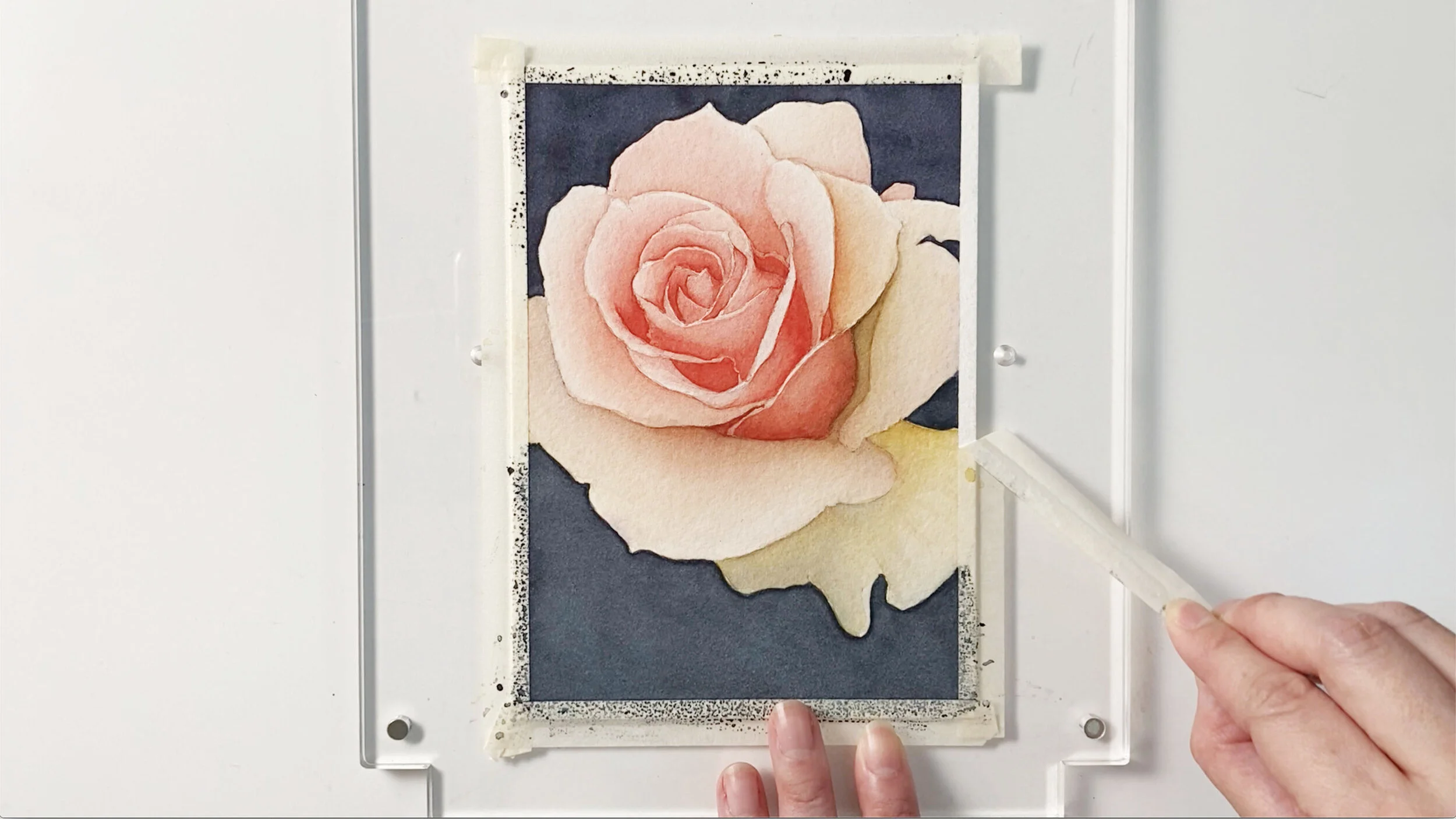 firstbloom_0013_removetape copy.jpg