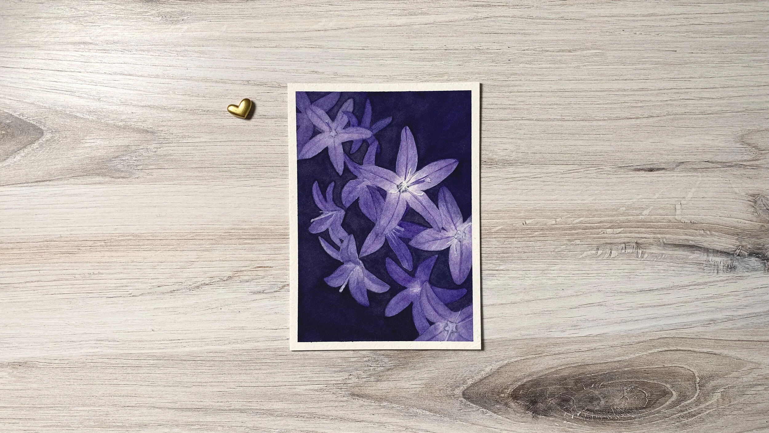 Campanula Archival Print
