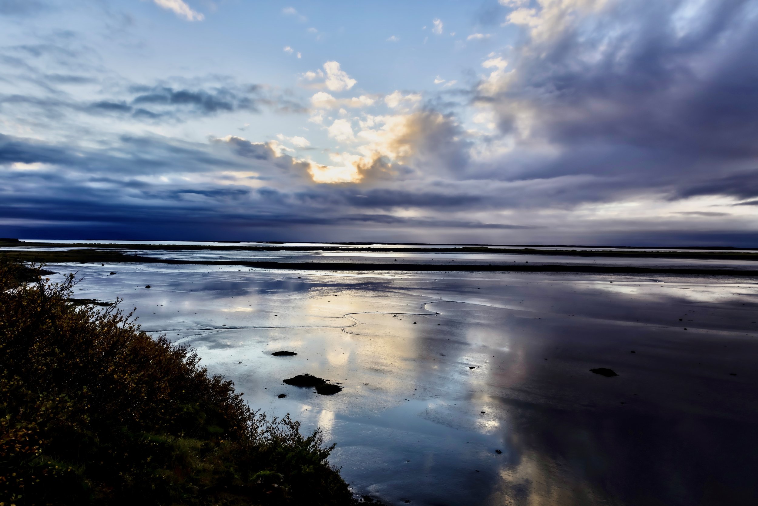 Local Reflection.jpg