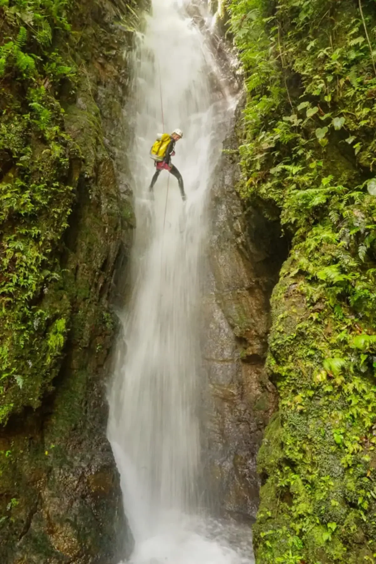 Costa Rica "Wild Ground" Mind Body Renewal Retreat