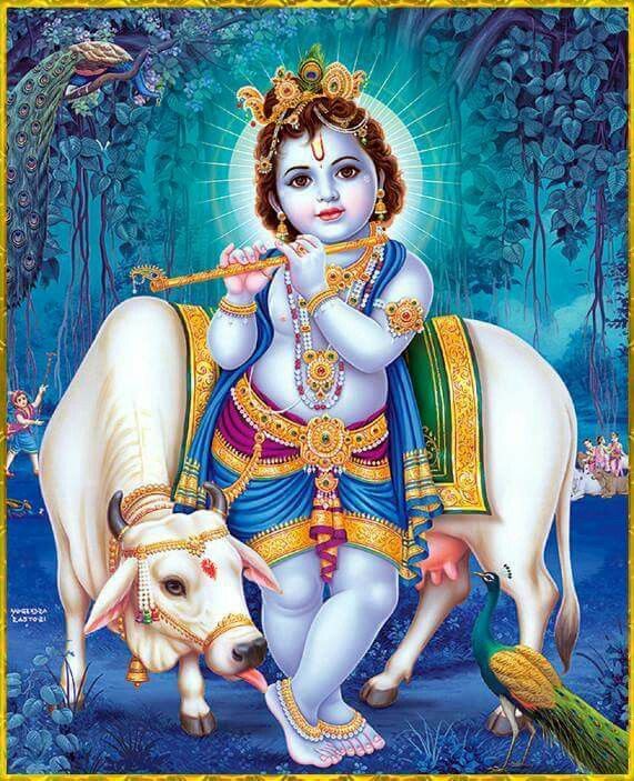 Lord Krishna 