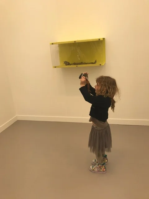 Documenting Frieze 2017