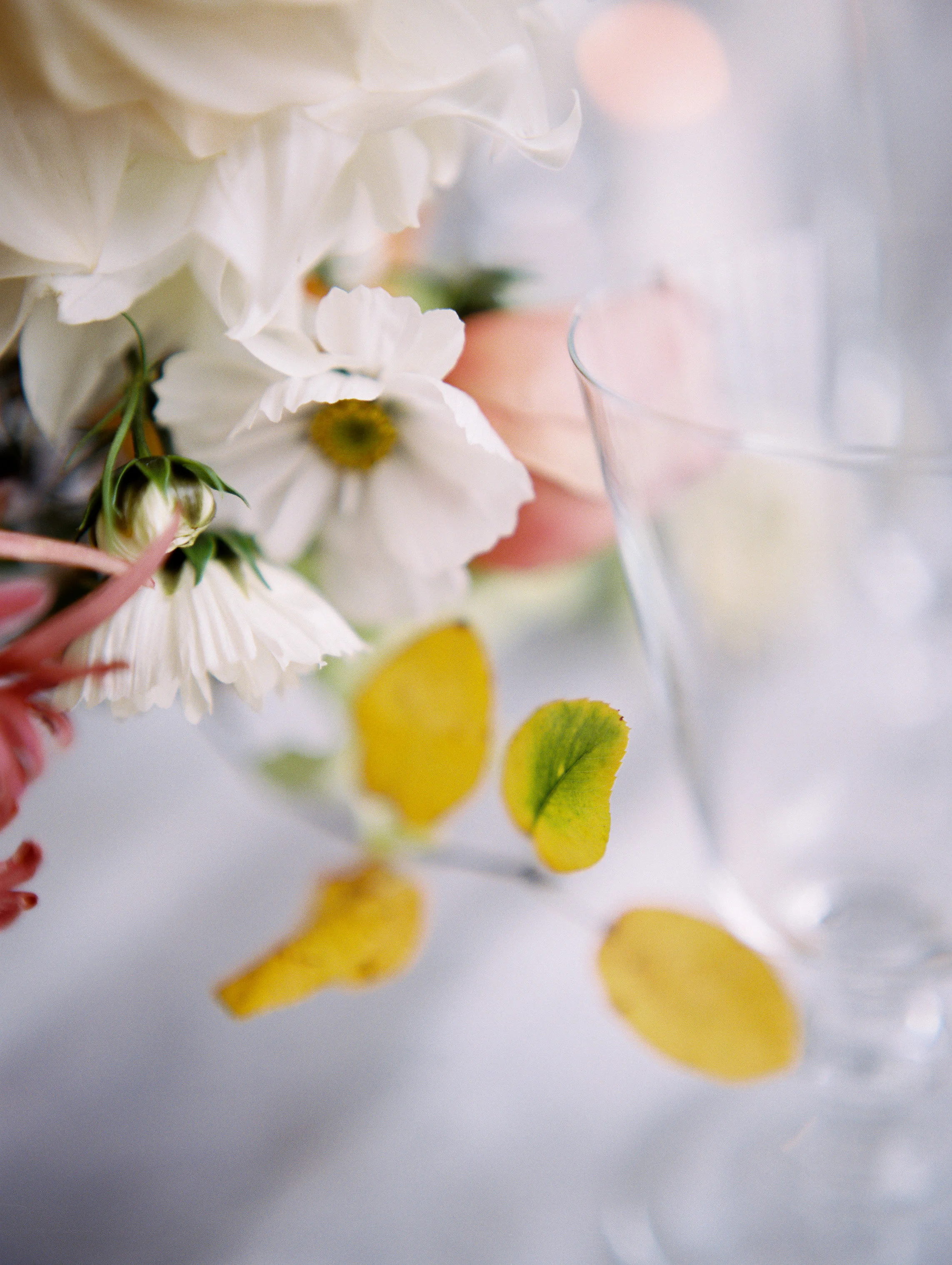 THE-BLUSH-CREATIVE-PHOTOGRAPHY-TENDUE-EDITORIAL-190.jpg