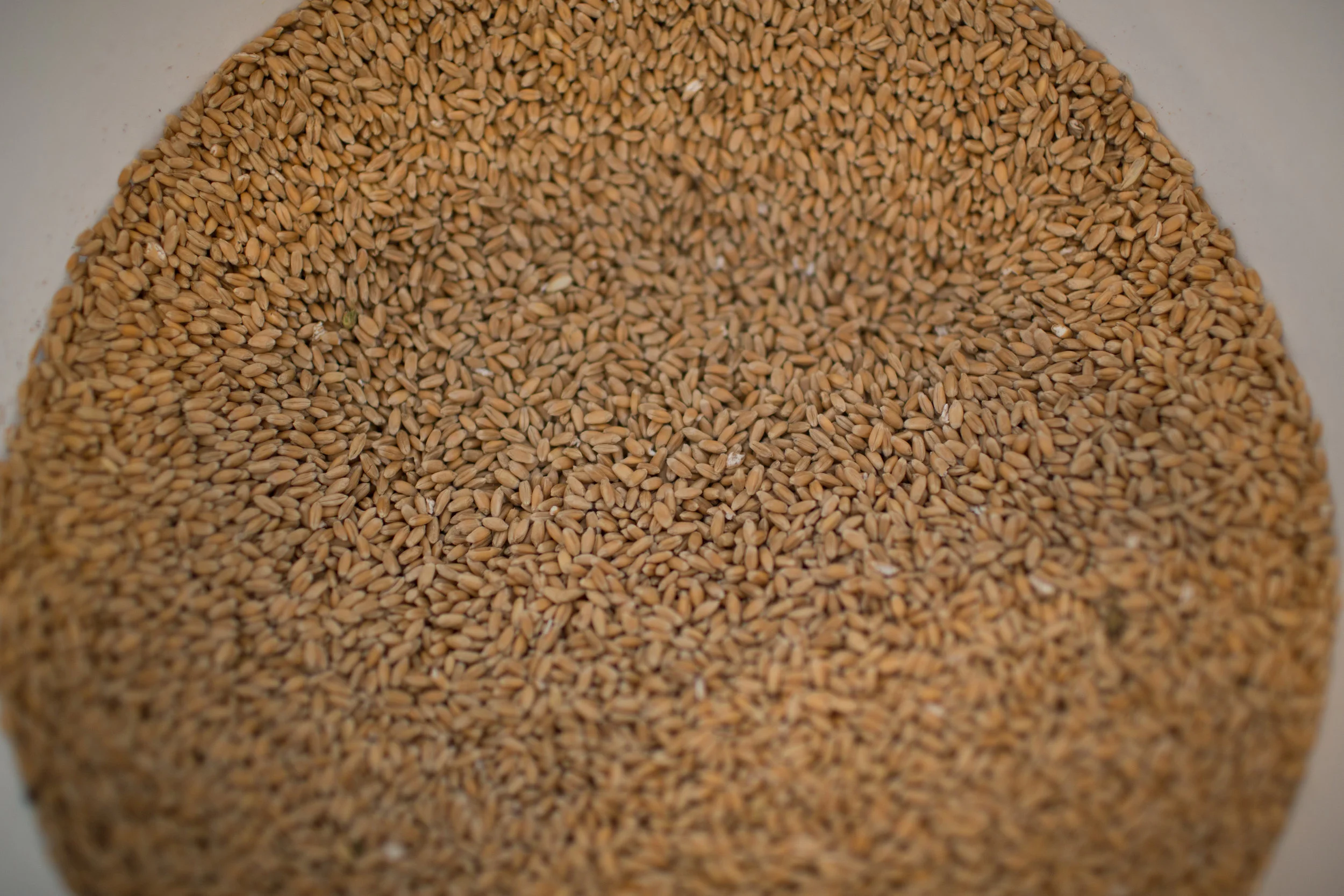 MB_12280.jpg