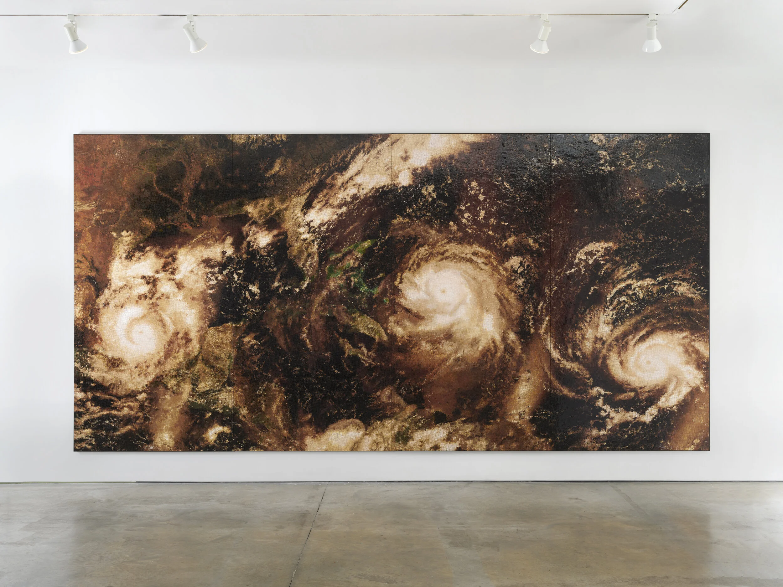 TF-LM31546 Caribbean Cosmos 01 hr.jpg