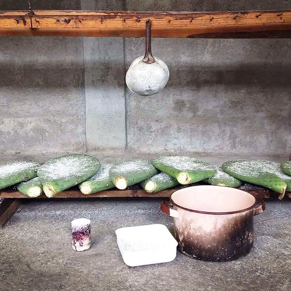 Cochineal_Maguey_Bag_shopjonesandco_2.jpg