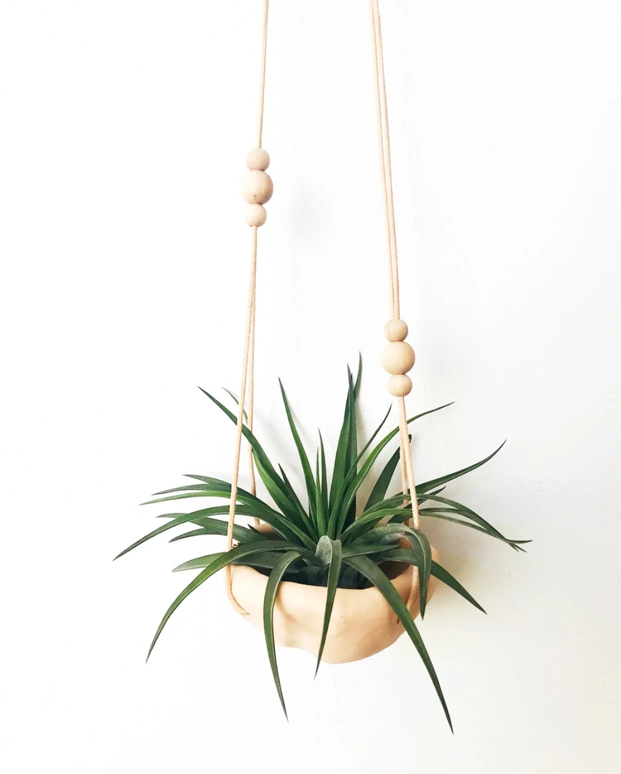 westperro.bajadunavessel.wallhanging_shopjonesandco.2.jpg