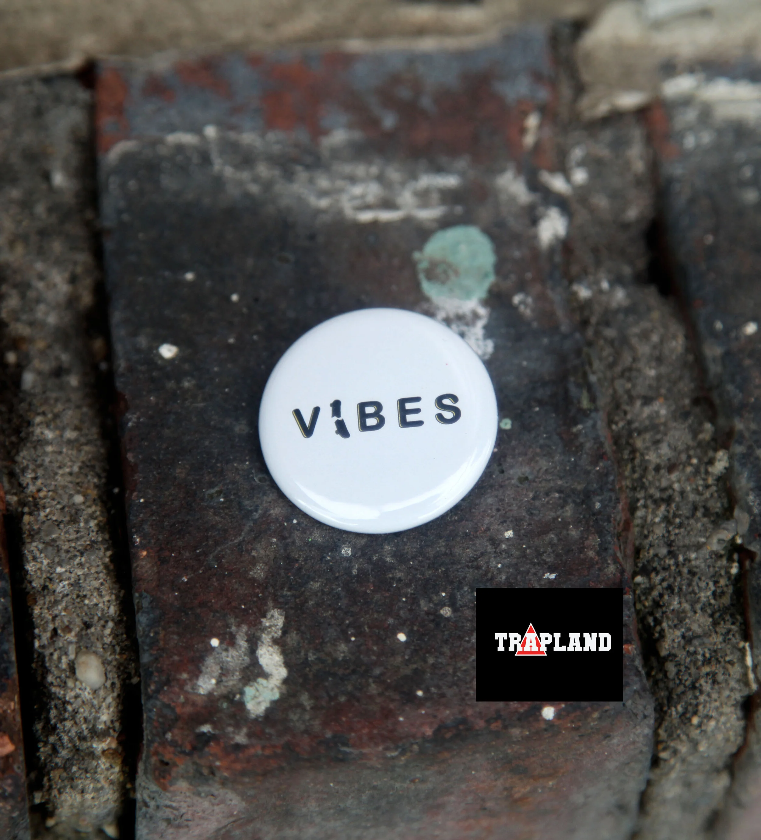 vibes.jpg