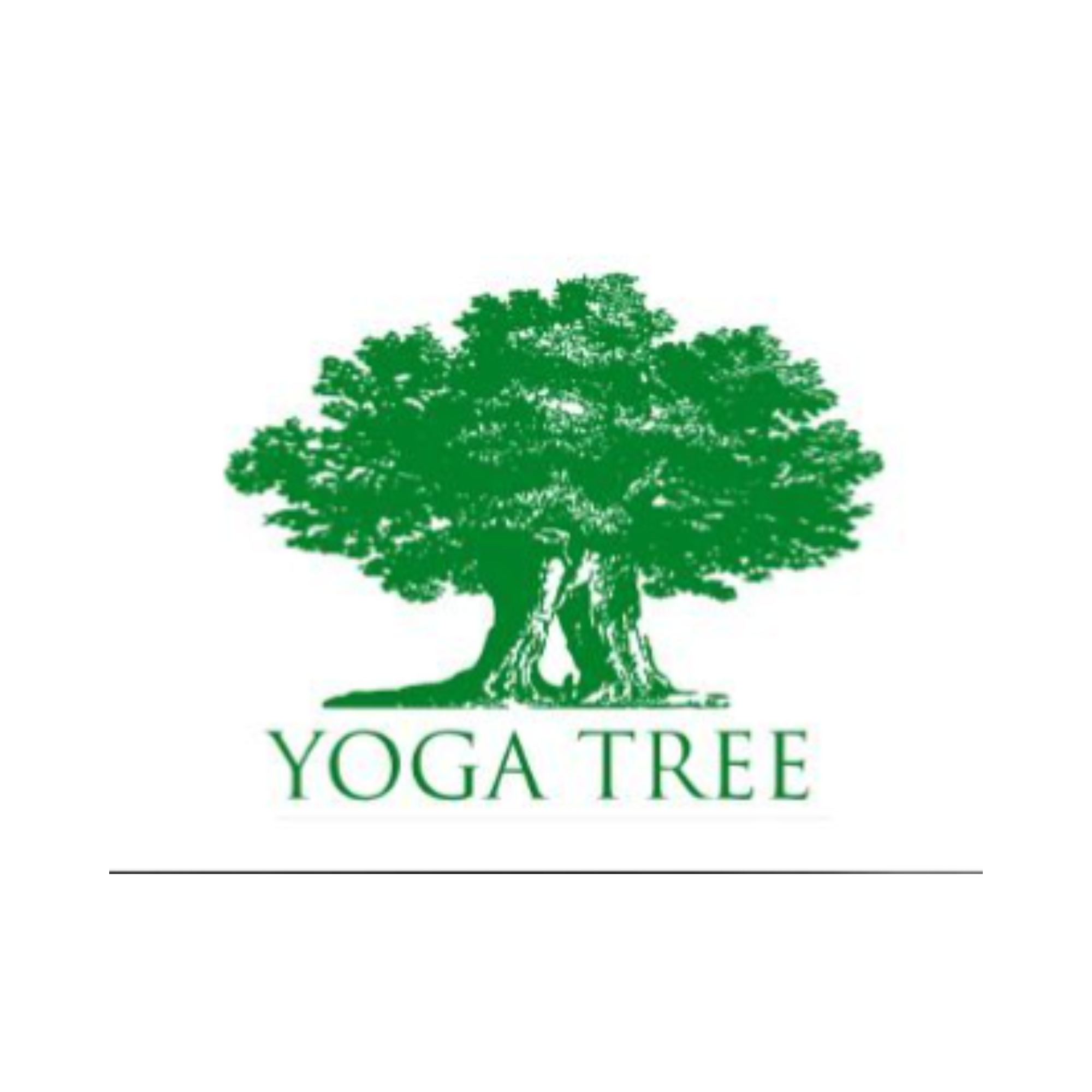 Lauren Streb Yoga Alliance Registered Yoga Teacher 200-hour program through Yoga Tree, San Francisco