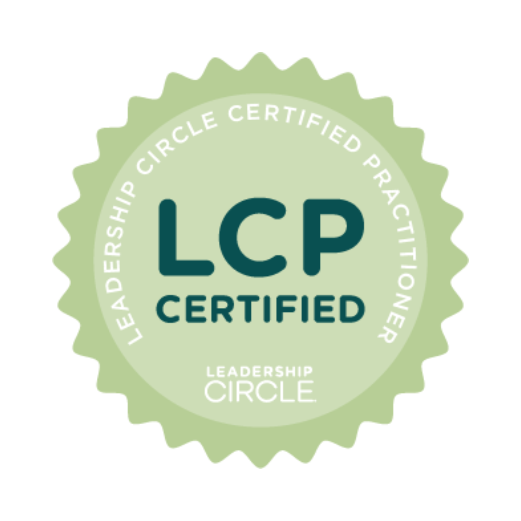 Lauren Streb Certified Leadership Circle Profile (LCP) Practitioner