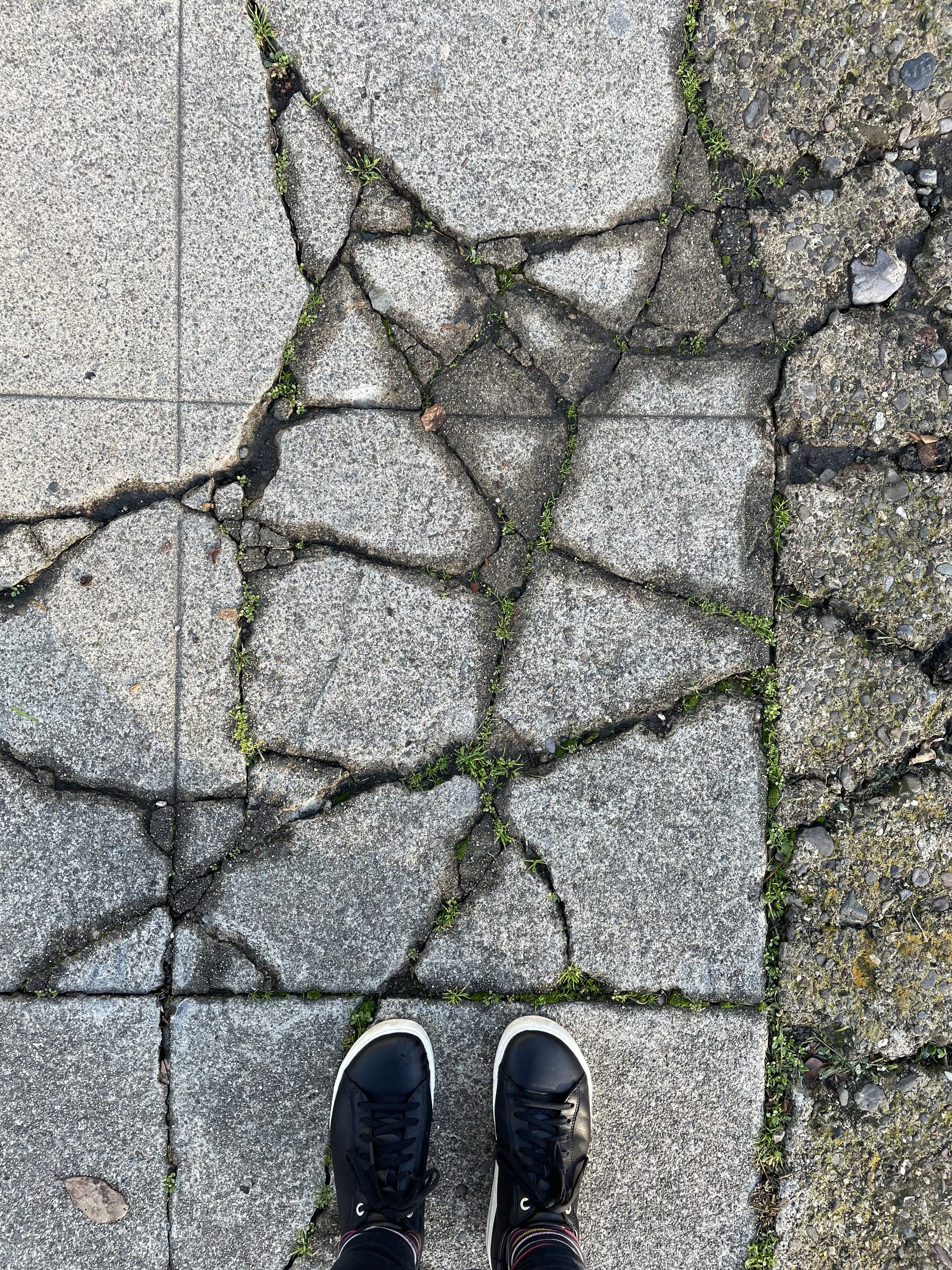 PHOTO cover - crack 4 - IMG_8624.JPG