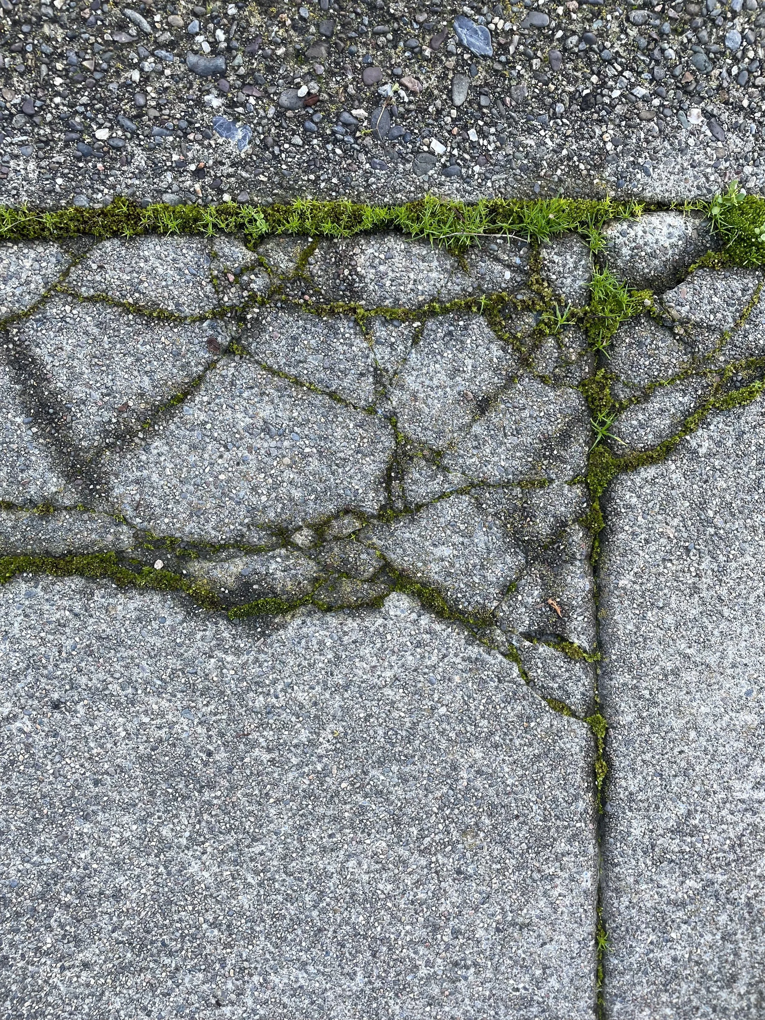 PHOTO cover - crack 3 - IMG_8617.JPG