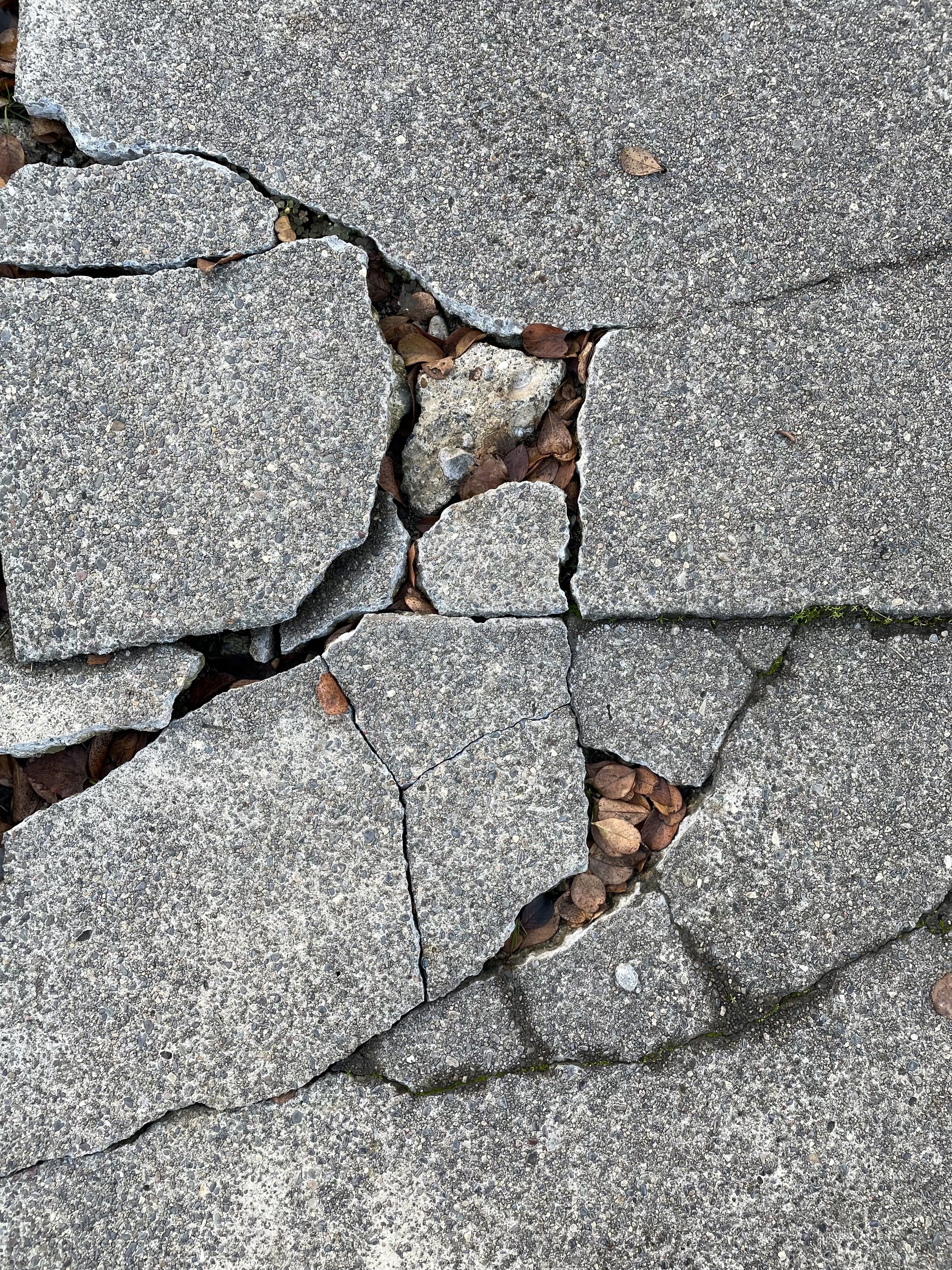 PHOTO covers - crack 1 - IMG_8635.JPG