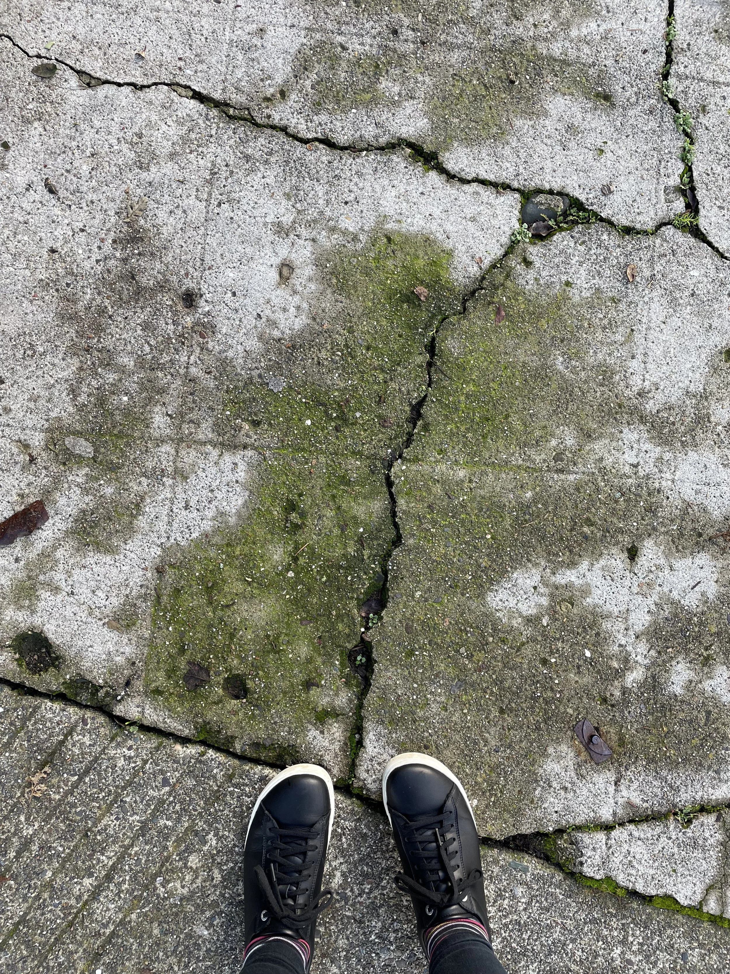 PHOTO covers - crack 2 - IMG_8598.JPG