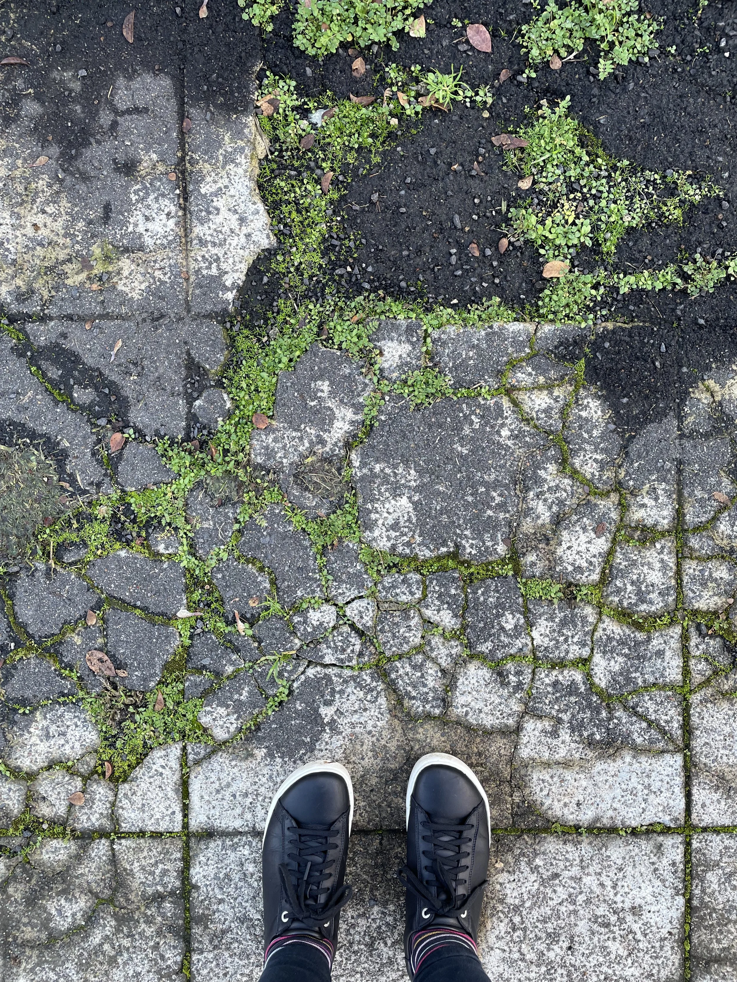 PHOTO cover - crack 6 - IMG_8641.JPG