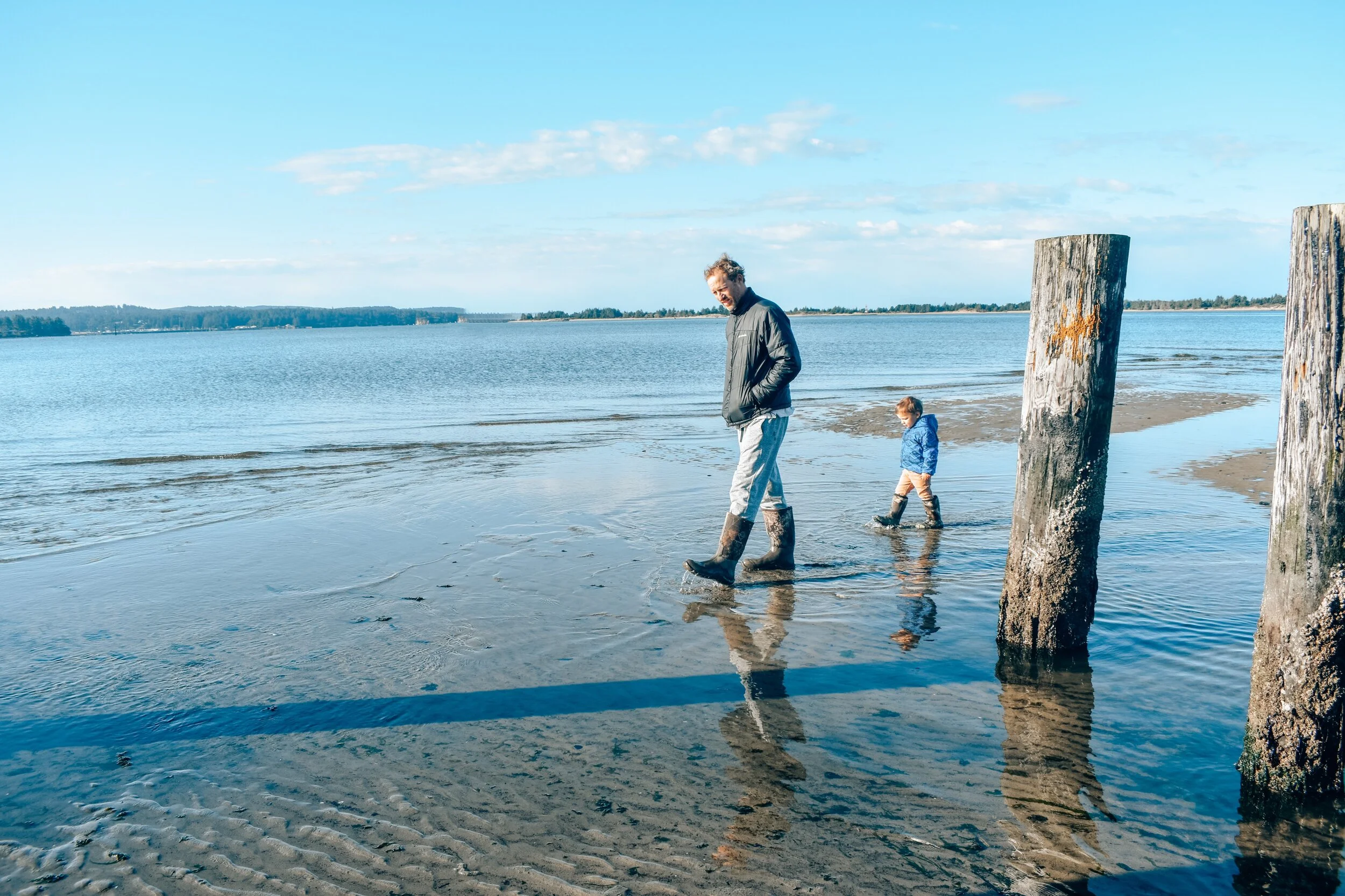 Out of the Ashes: A Note From Steven