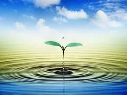 Tuesday at 2:00pm with Russ                                                                                                                                                                     