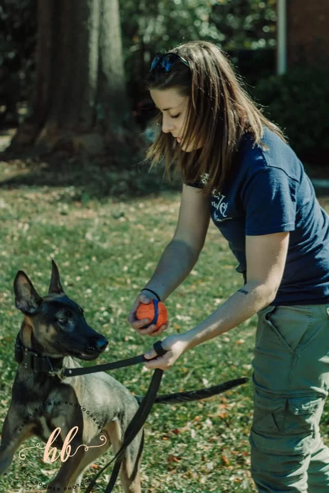 Bold City K9 Dog Training Jacksonville, FL