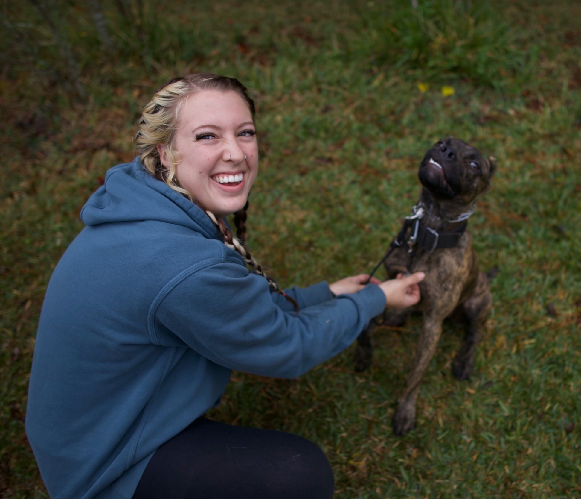Get to Know Our Trainers Jax Dog Training — Bold City K9 A better