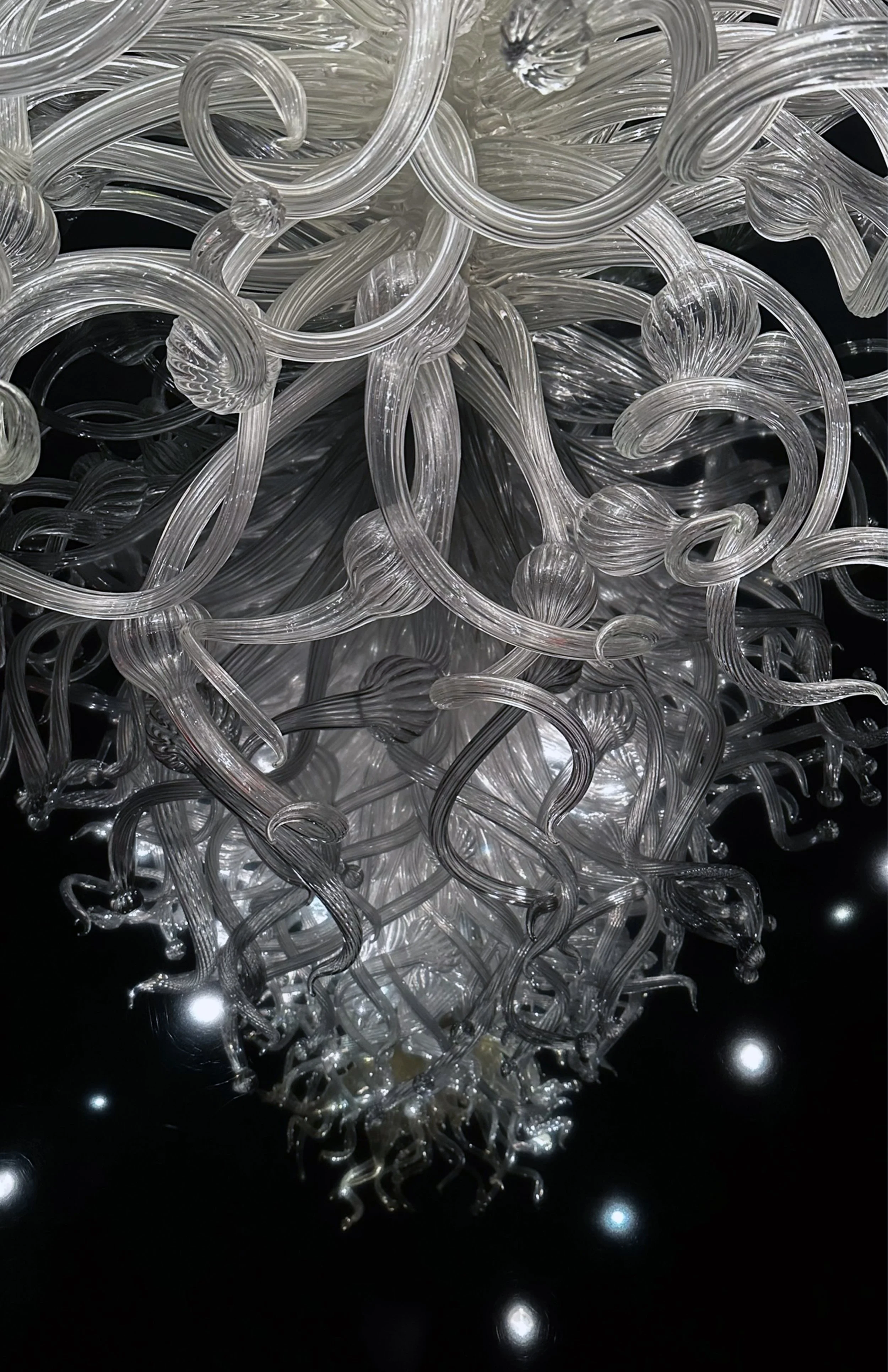 Chihuly 12.jpg