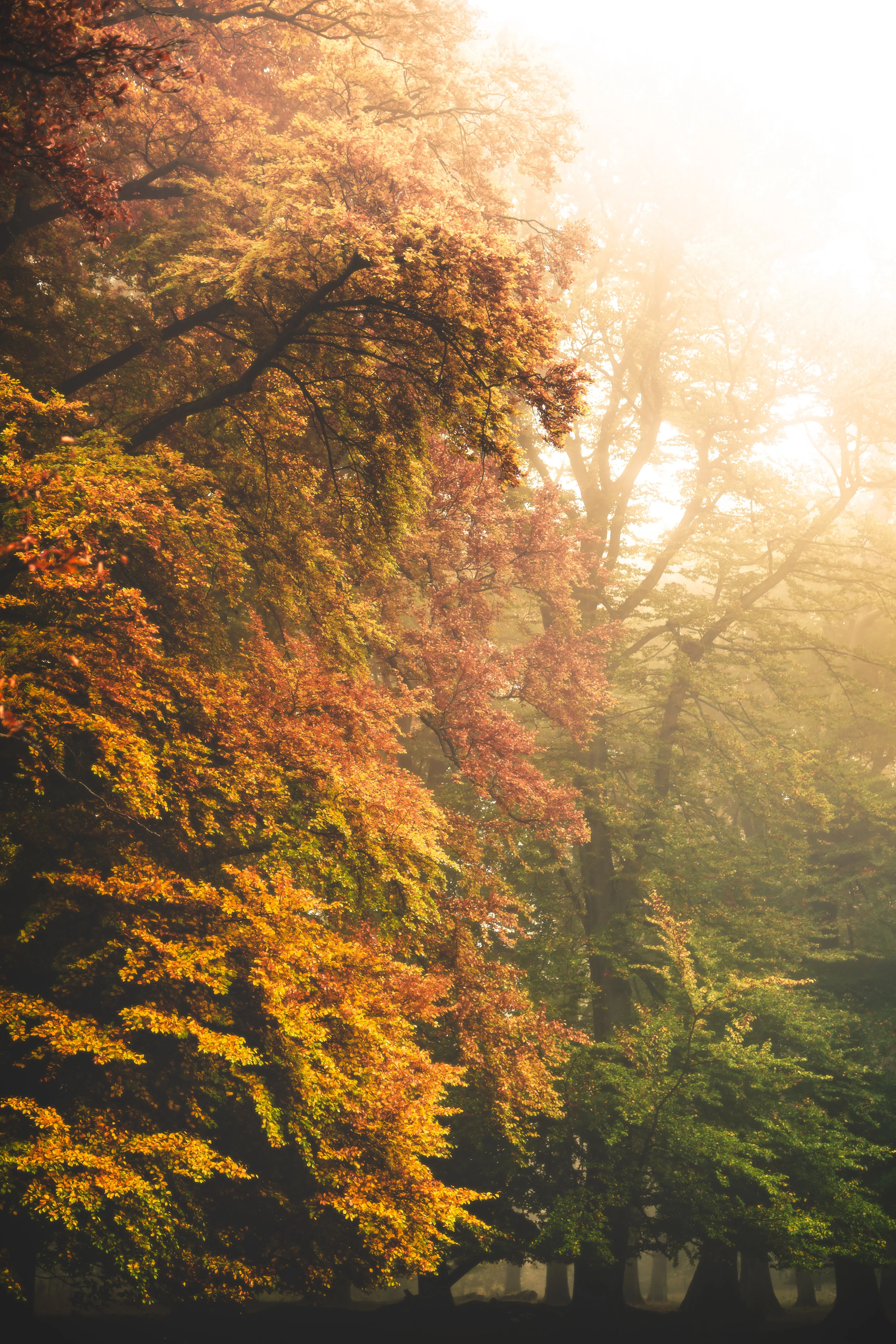 DSC07416-Edit.jpg