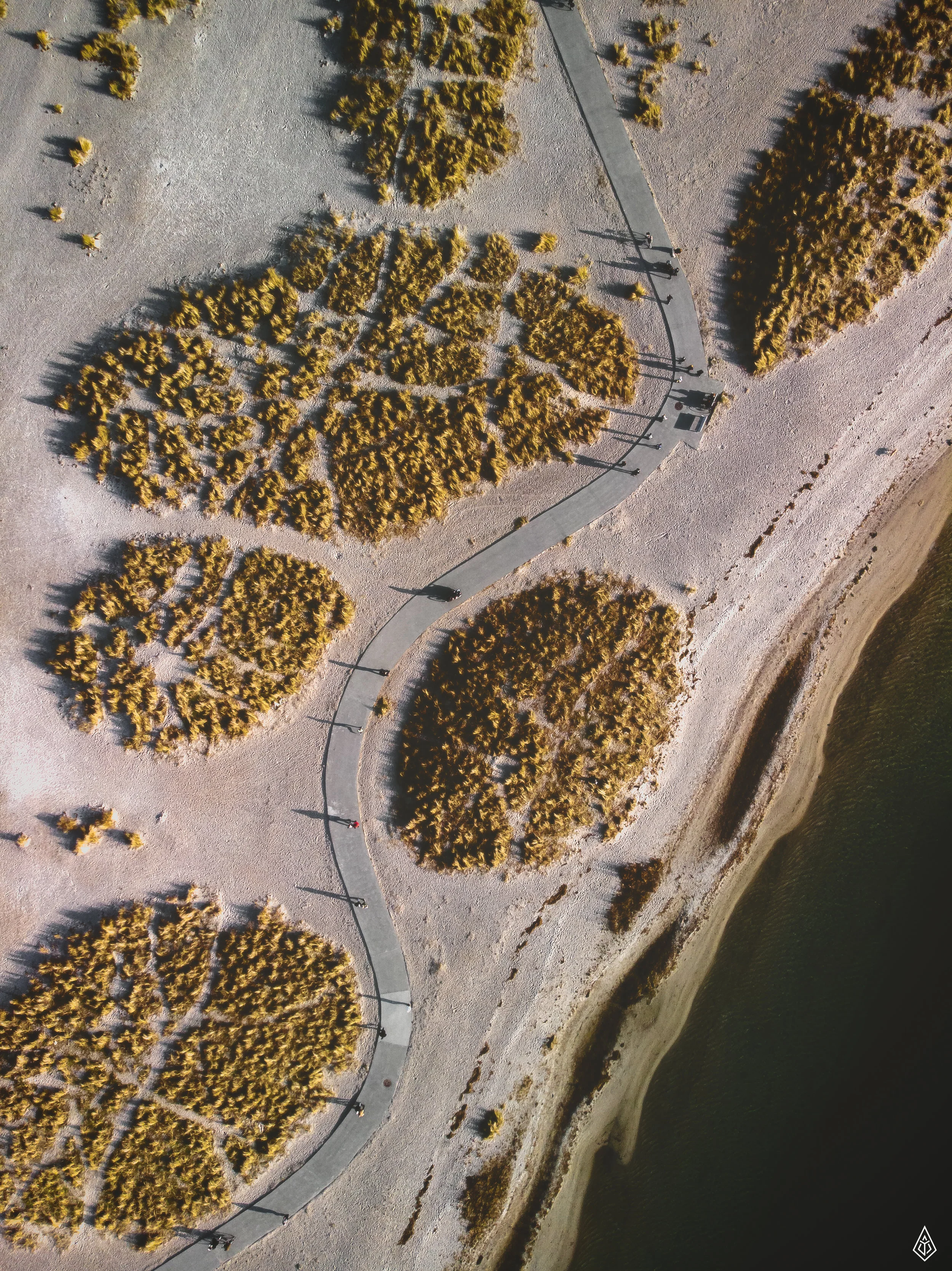 DJI_0375-Edit.jpg