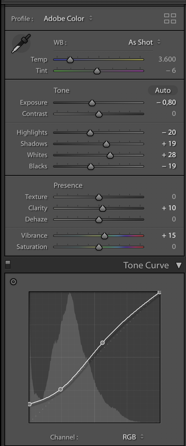 2-Basic Adjustments.jpg