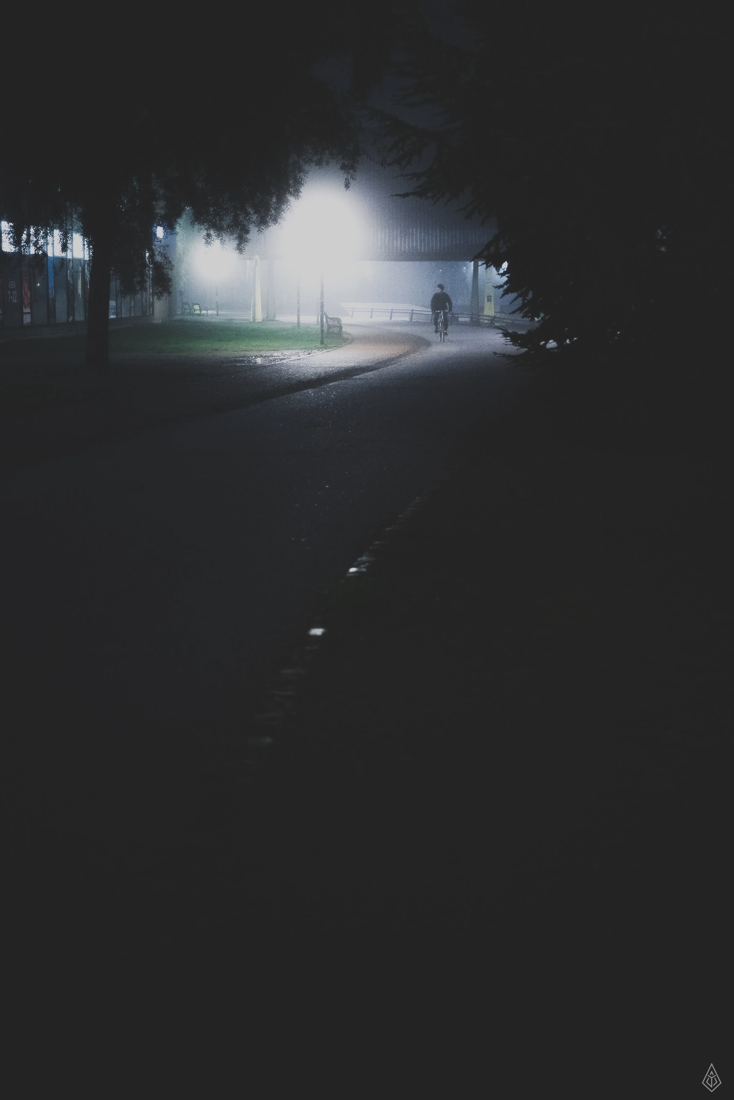 DSC07524-Edit.jpg