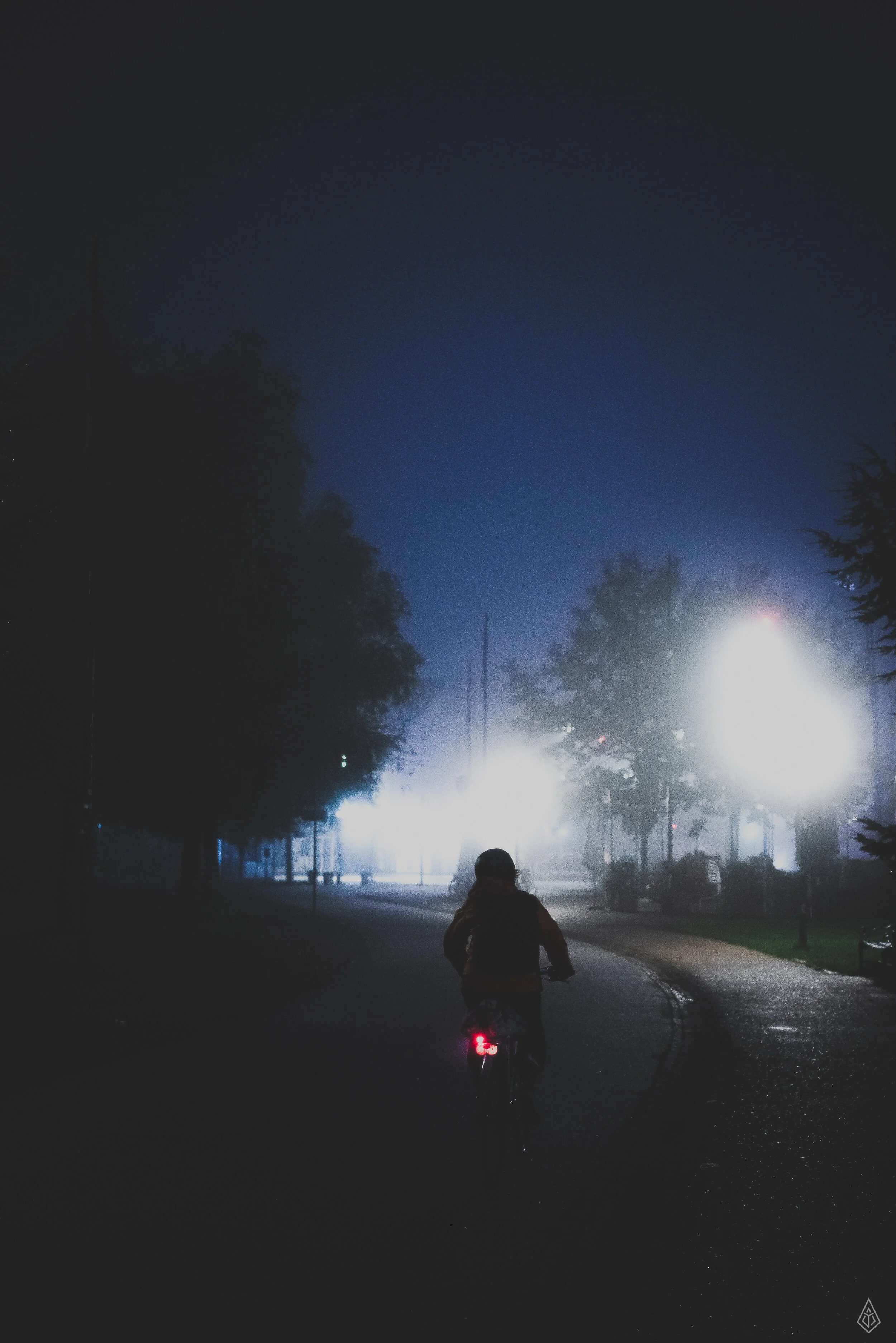 DSC07529-Edit.jpg