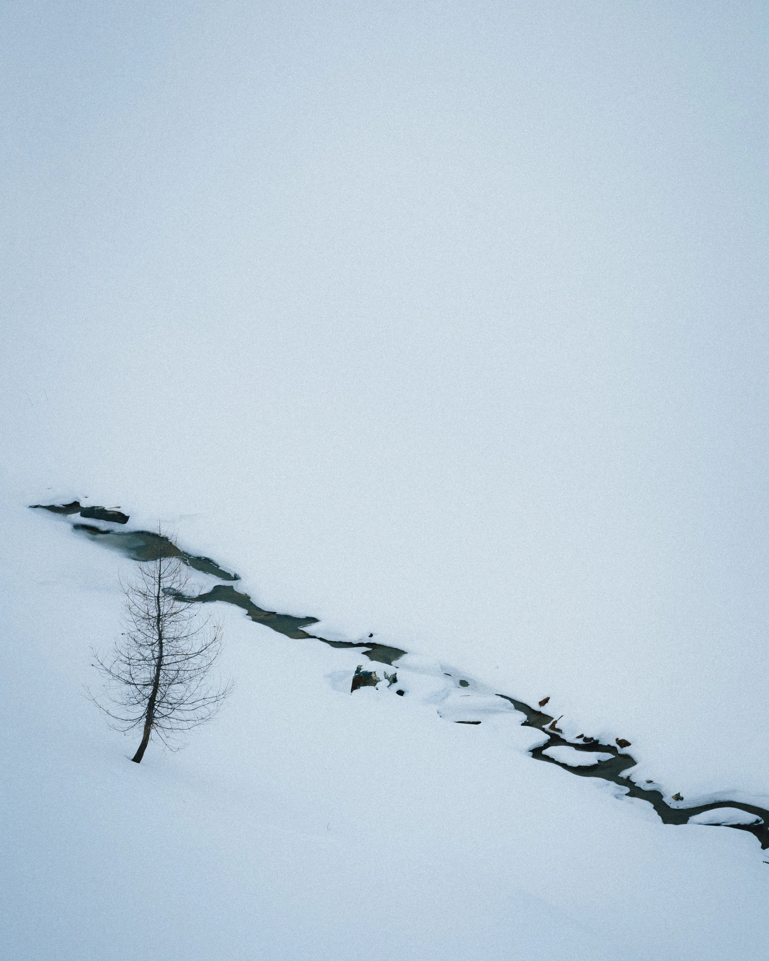 ALPEN WINTER-9.jpg