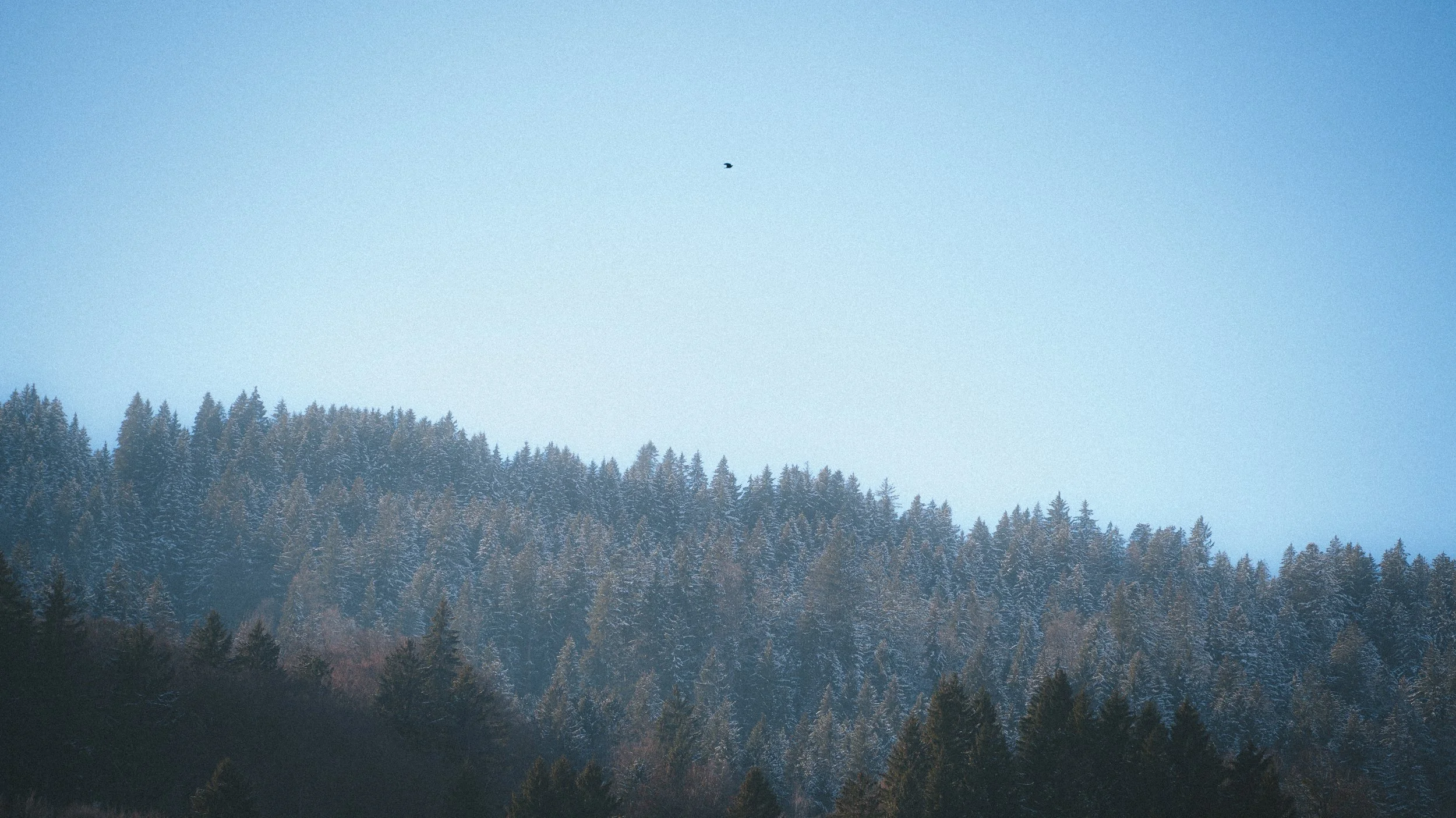 ALPEN WINTER-1.jpg