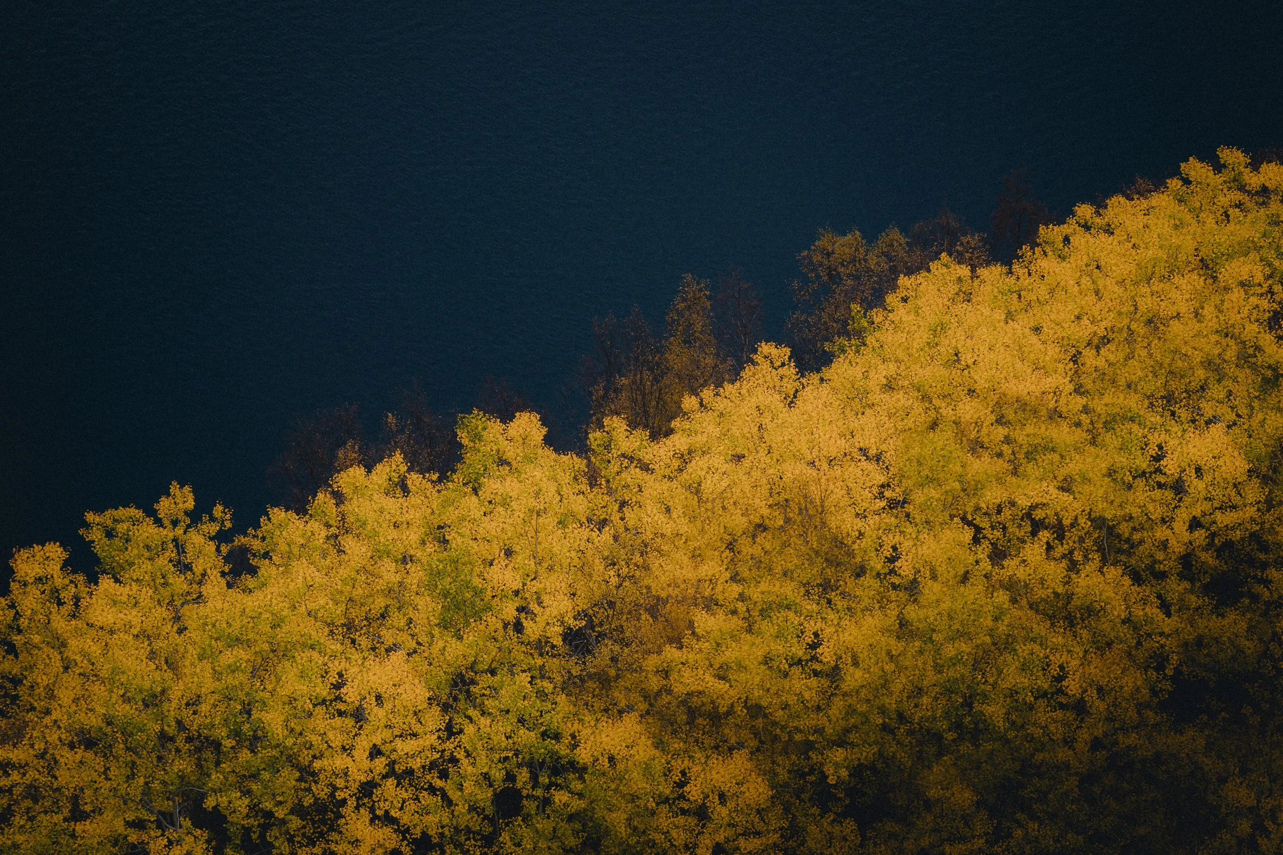 DFL_LofotenAutumn-38.jpg