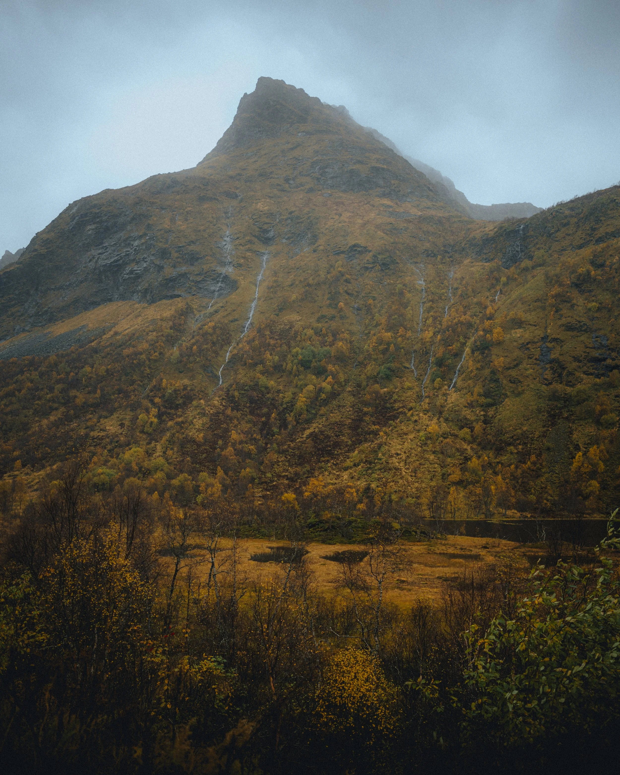 DFL_LofotenAutumn-35.jpg