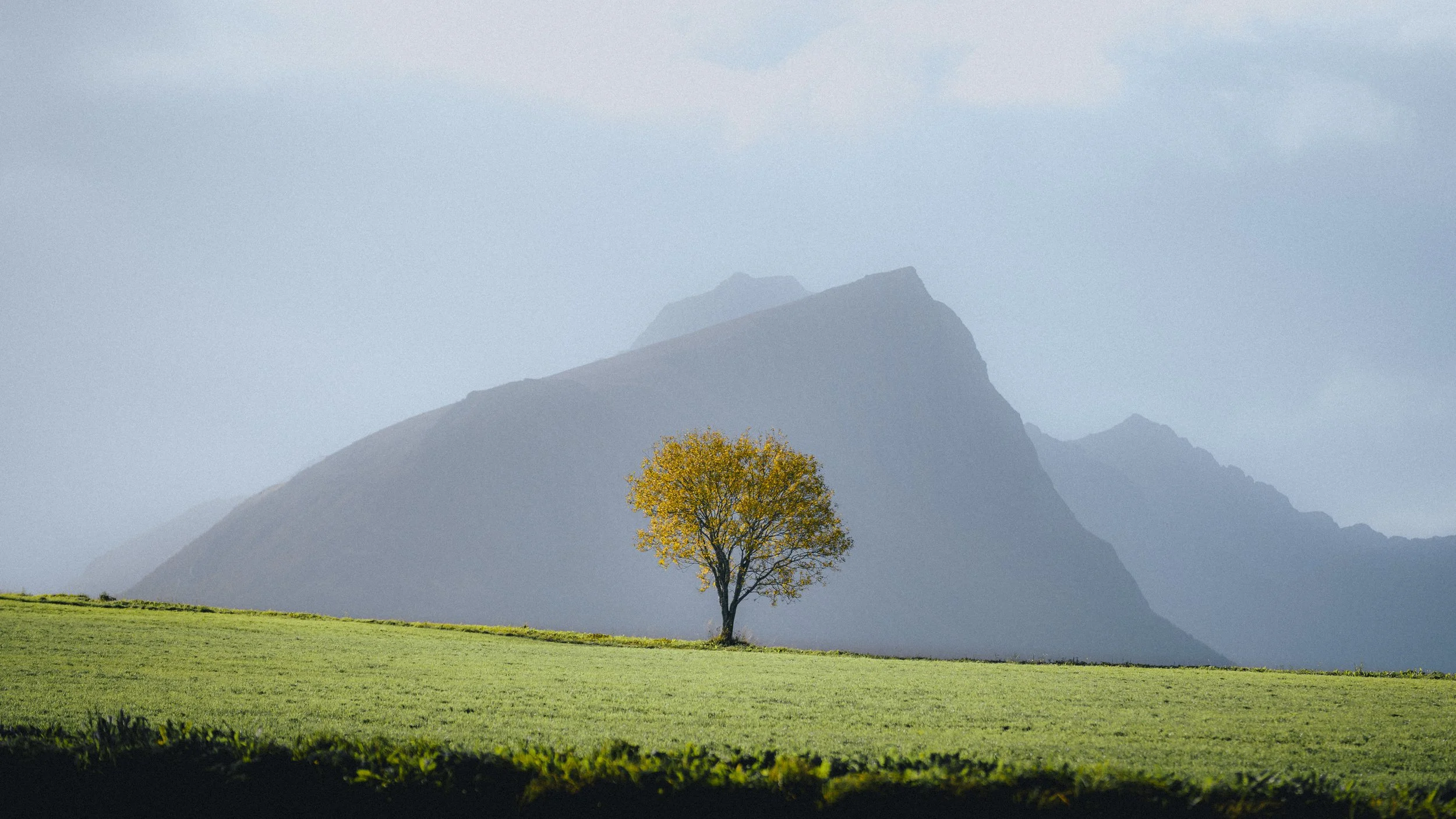 DFL_LofotenAutumn-29.jpg