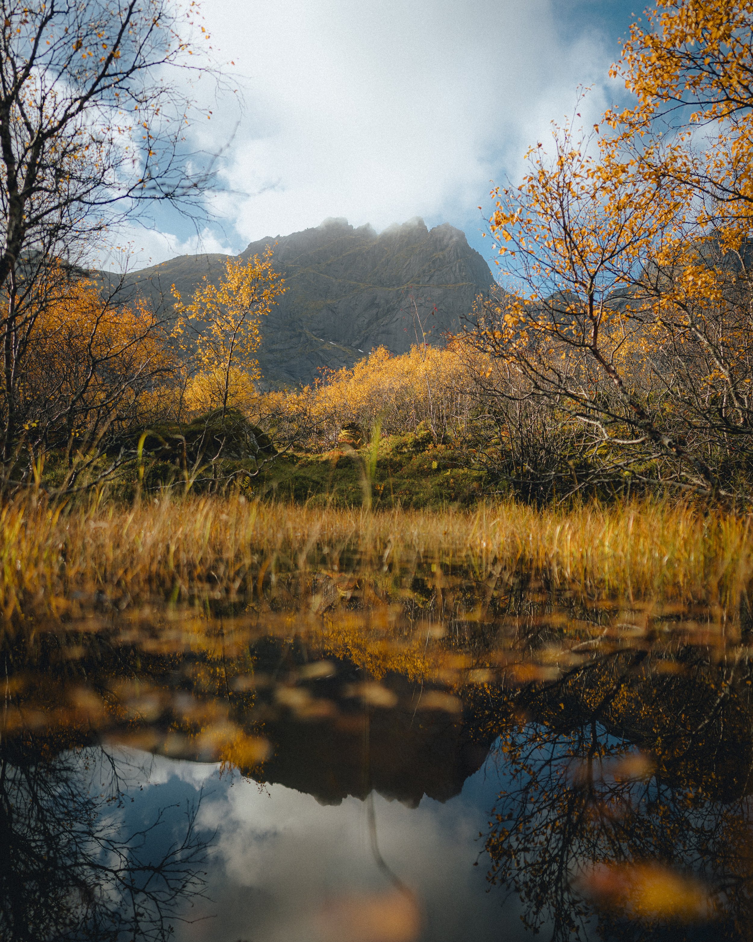 DFL_LofotenAutumn-25.jpg