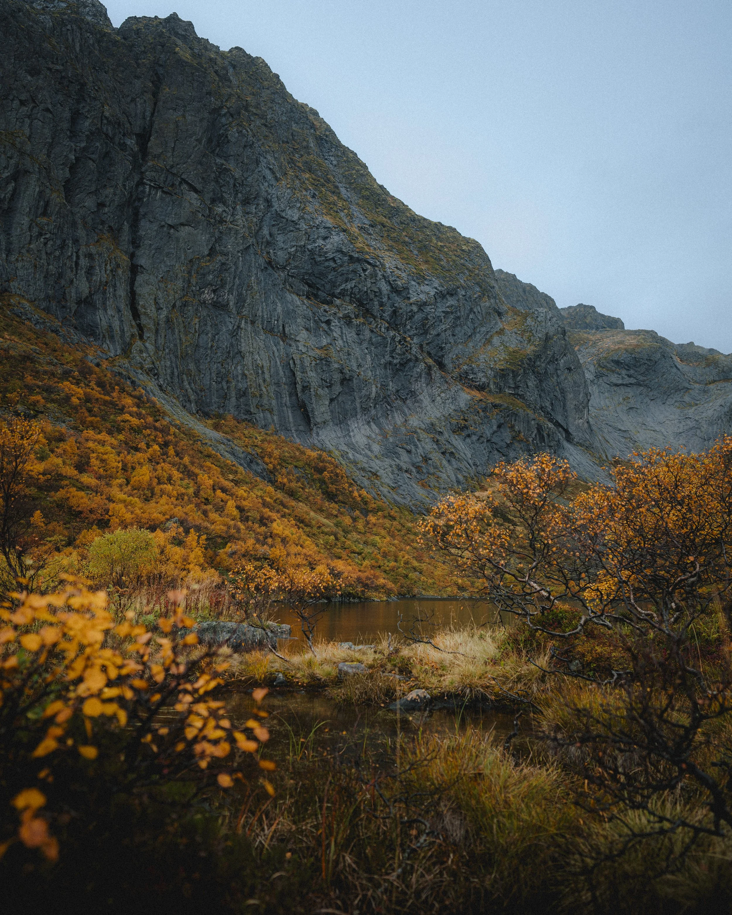 DFL_LofotenAutumn-17.jpg