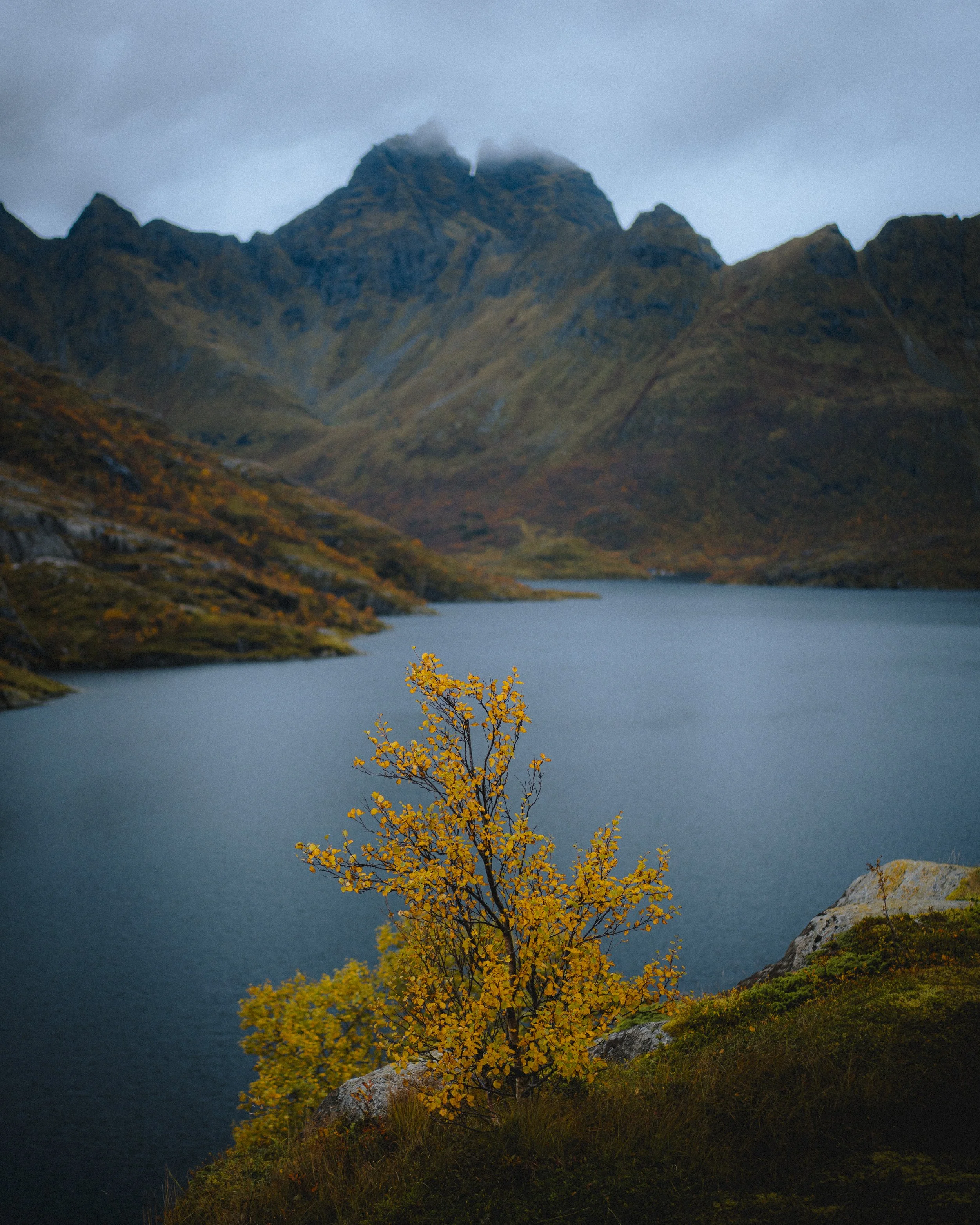 DFL_LofotenAutumn-11.jpg